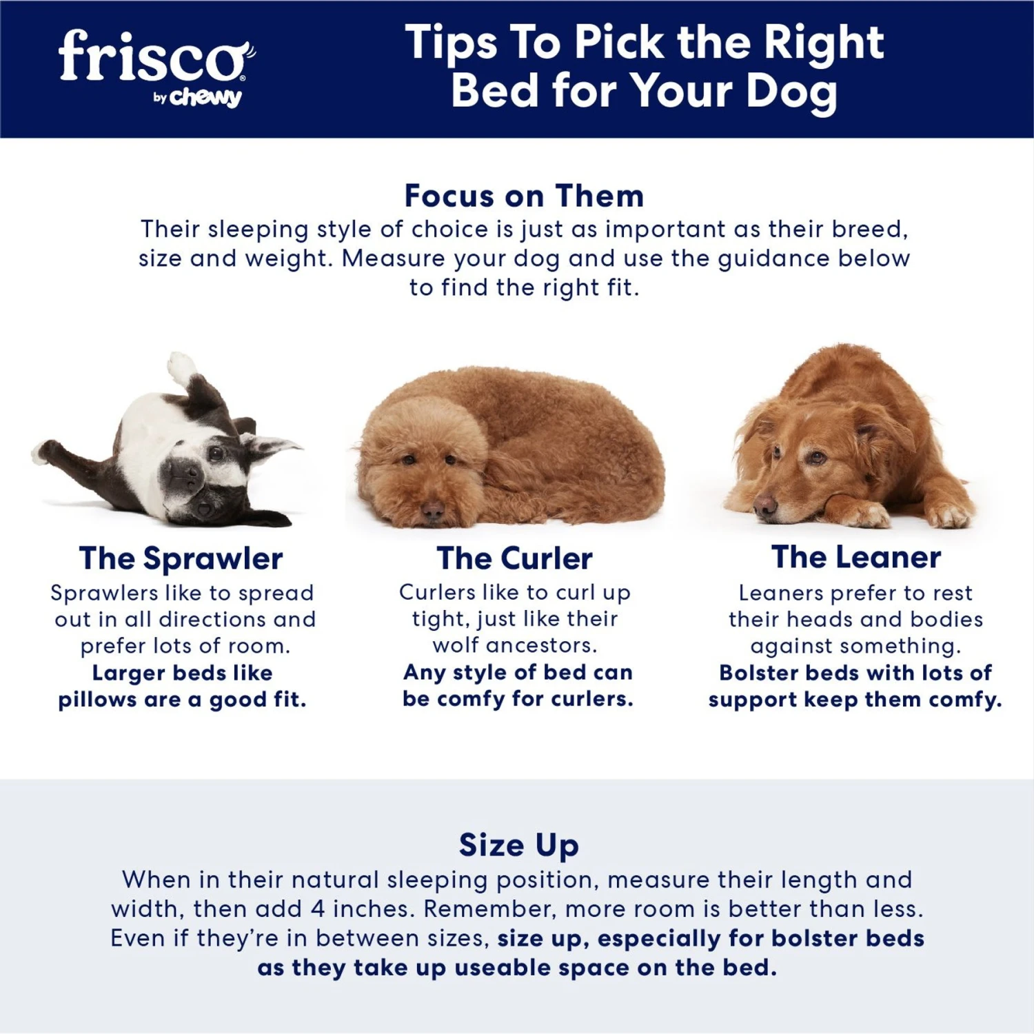 Frisco Steel-Framed Elevated Dog Bed - Image 4