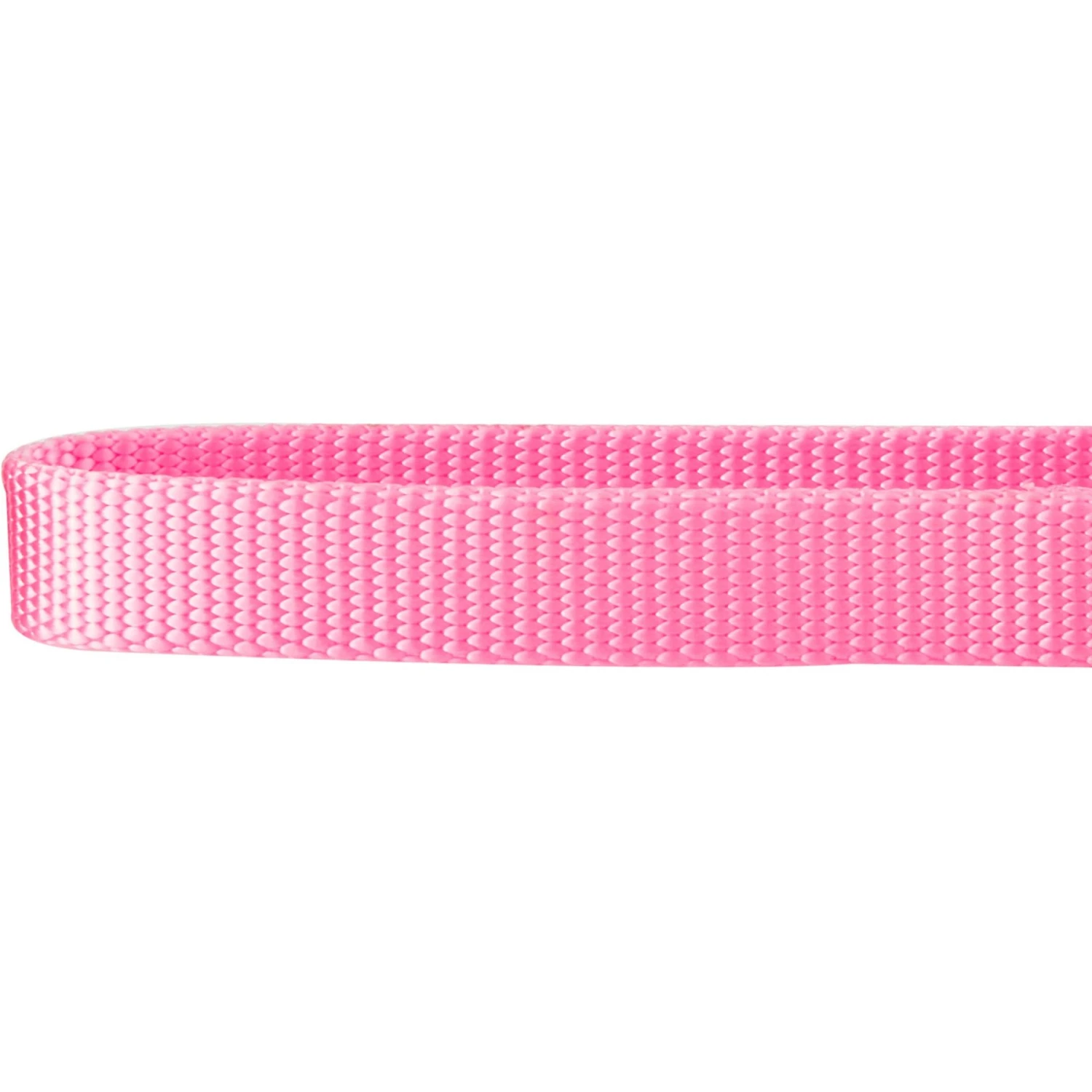 Frisco Solid Nylon Slip-On Martingale Dog Collar - Image 4