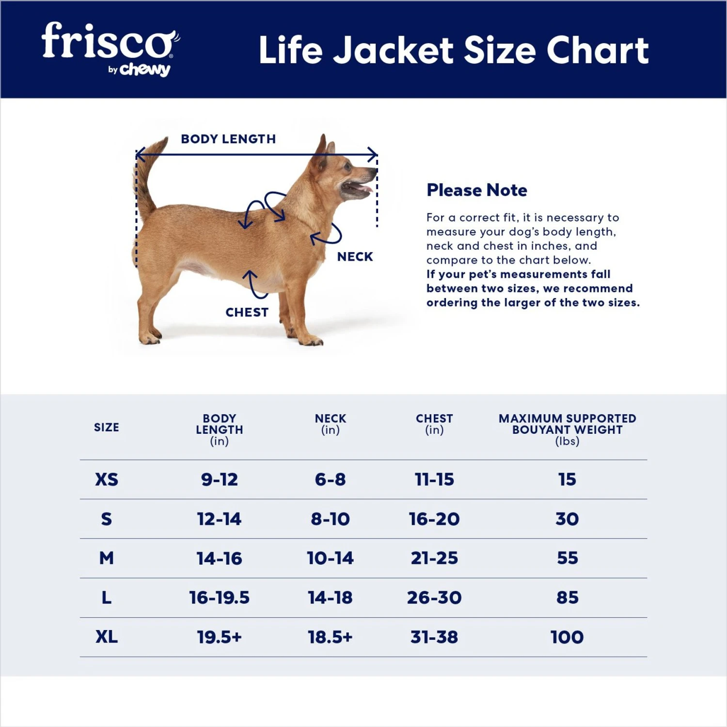 Frisco Neoprene Dog Life Jacket - Image 2
