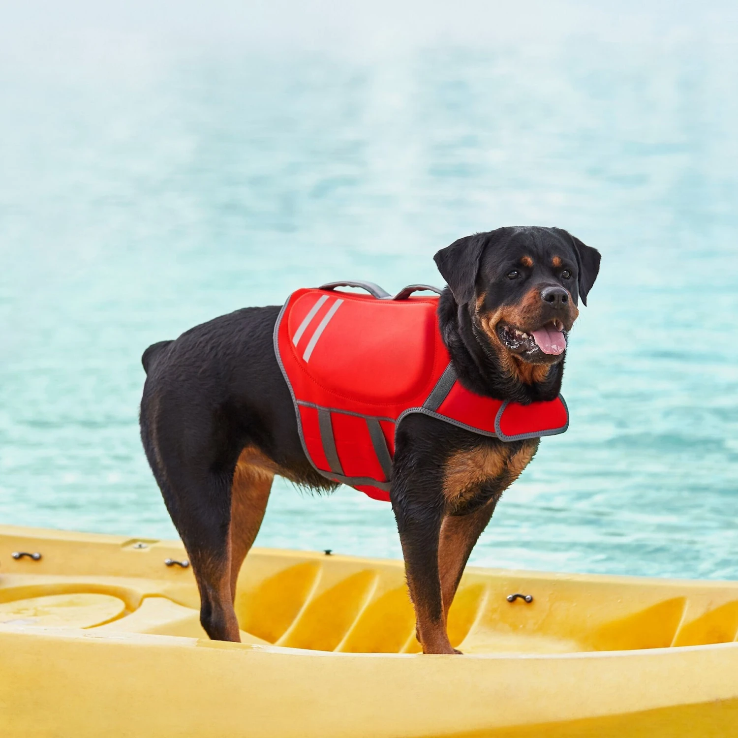 Frisco Neoprene Dog Life Jacket - Image 8