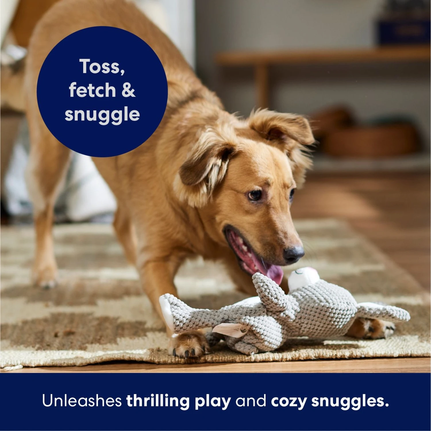 Frisco Bunny Textured Plush Squeaky Dog Toy - Image 5