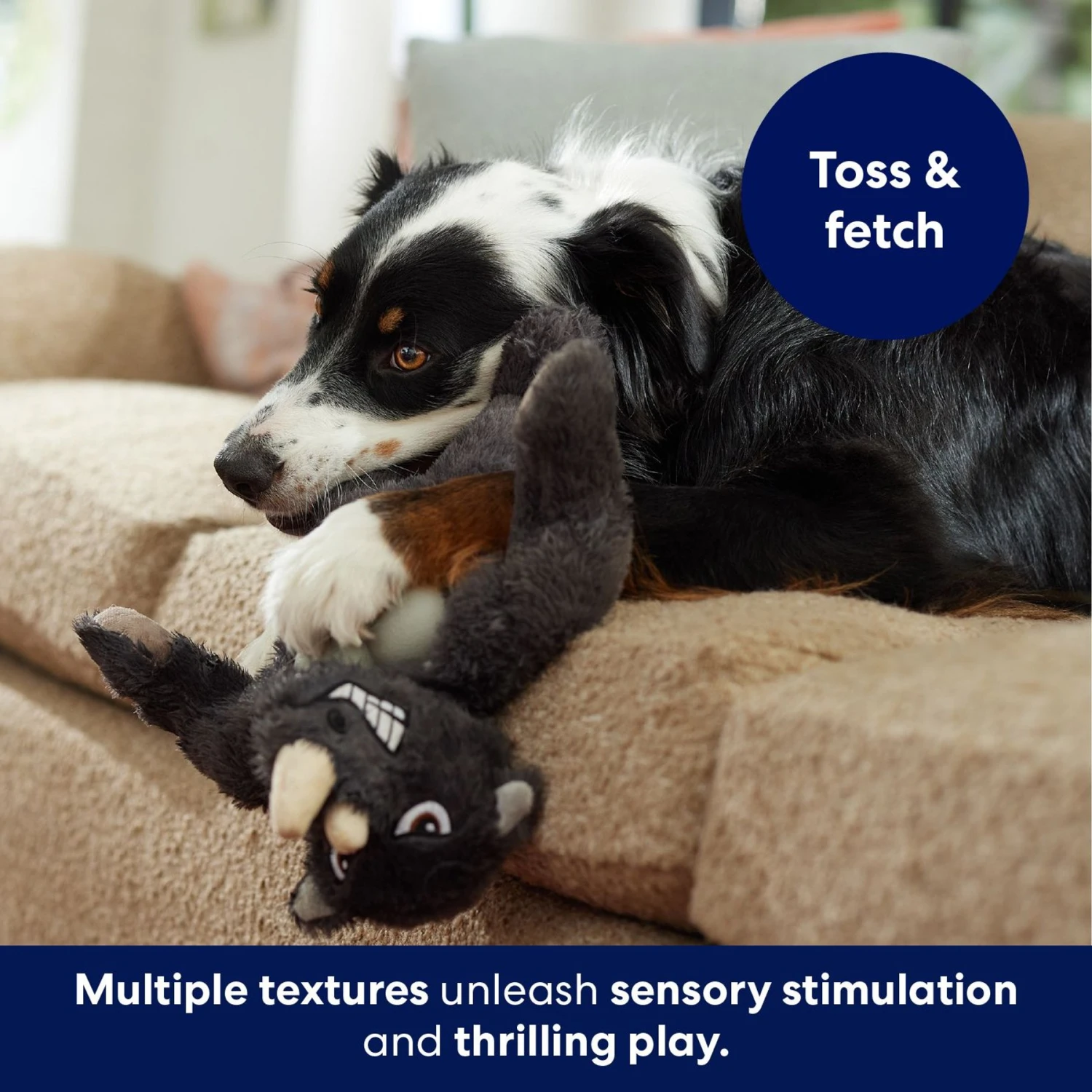 Frisco Rhino Muscle Plush Squeaky Dog Toy - Image 4