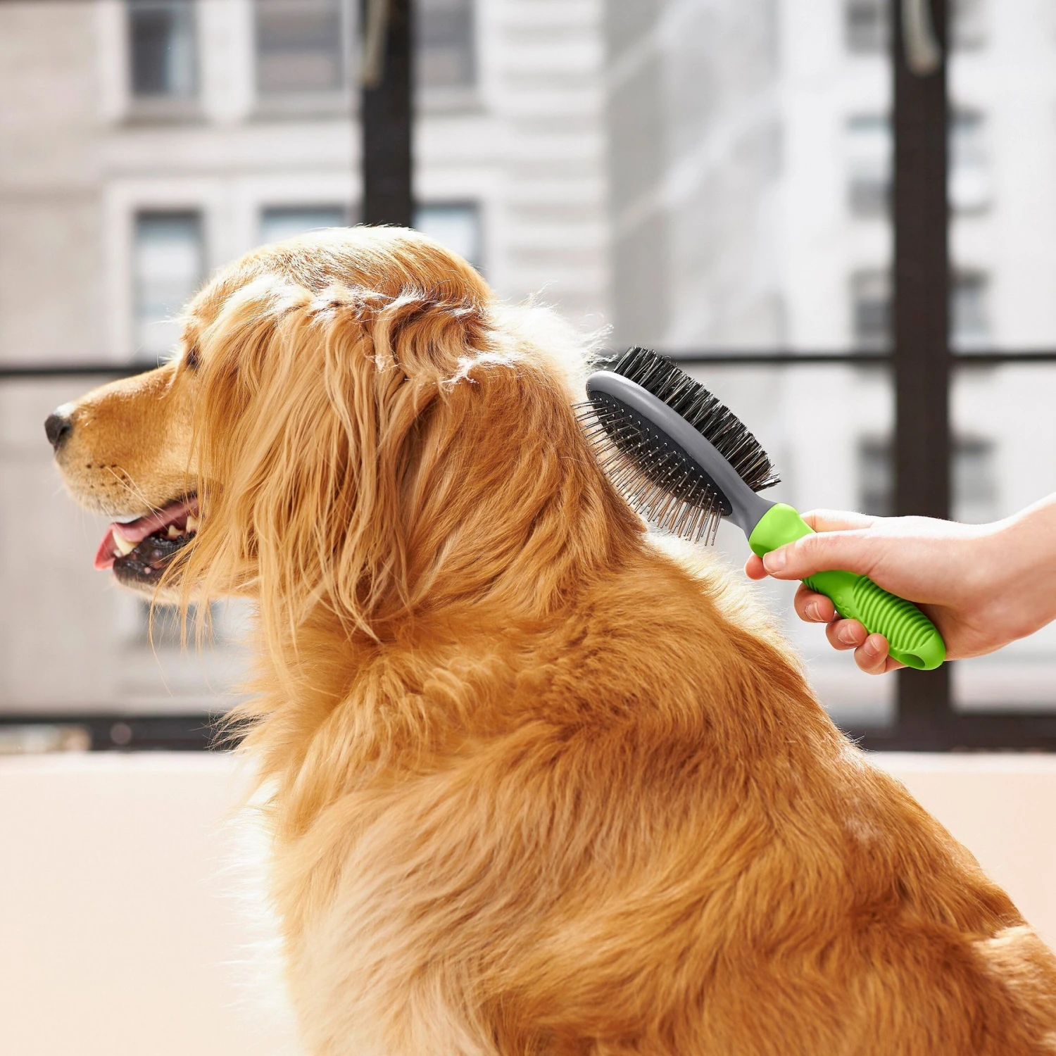 Frisco Cat & Dog Pin Bristle Brush - Image 5