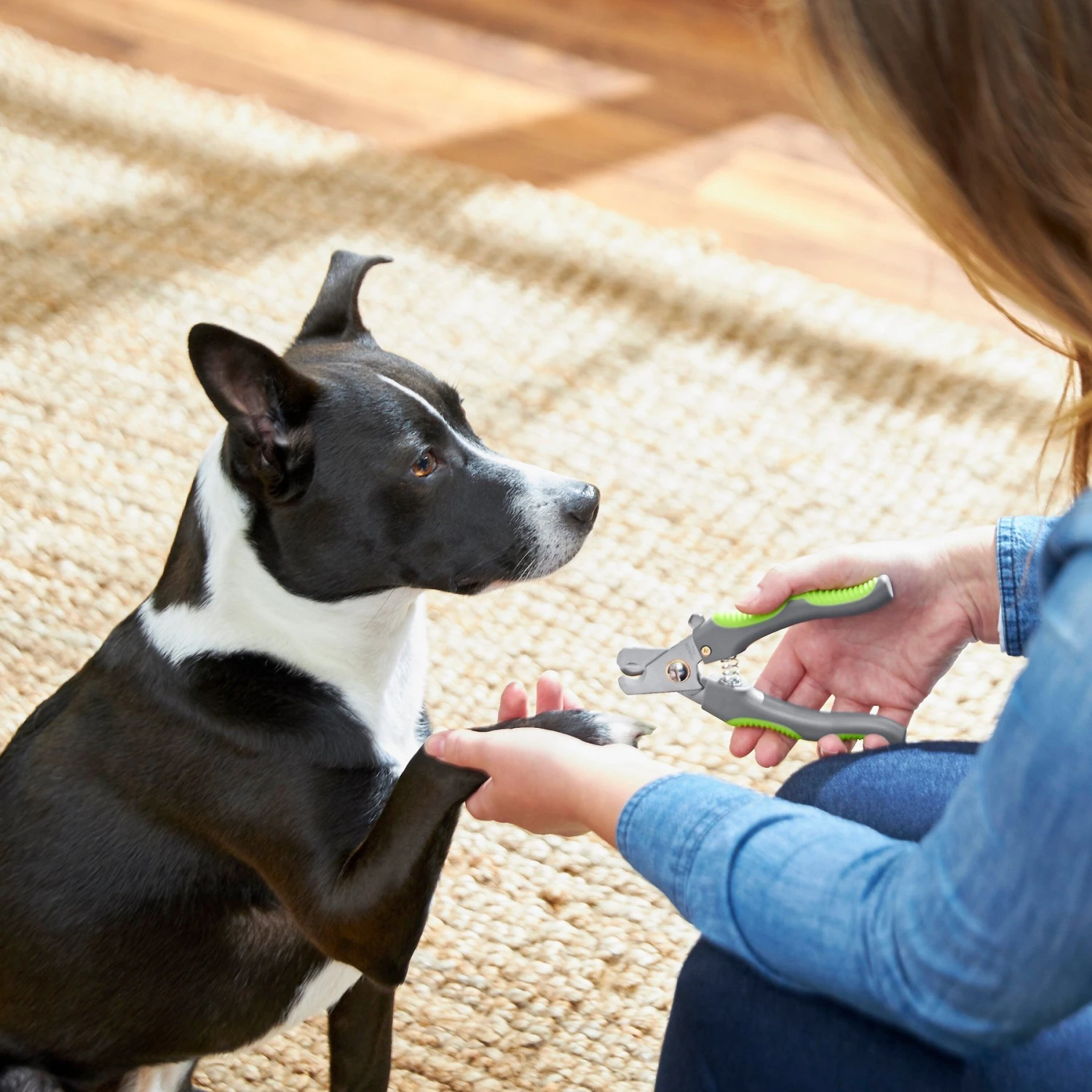 Frisco Dog Nail Trimmer - Image 3