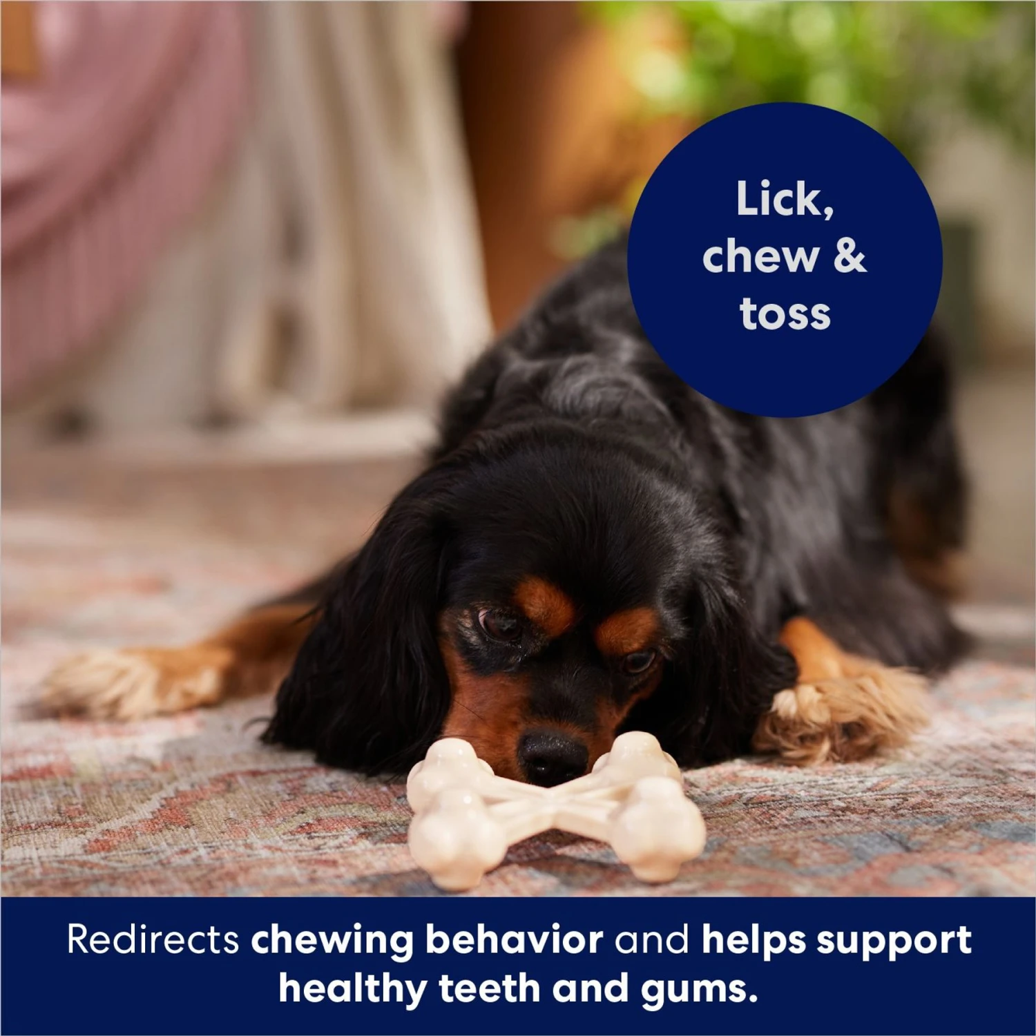 Frisco Chicken Flavor Tough Nylon Dog Chew Toy - Image 5