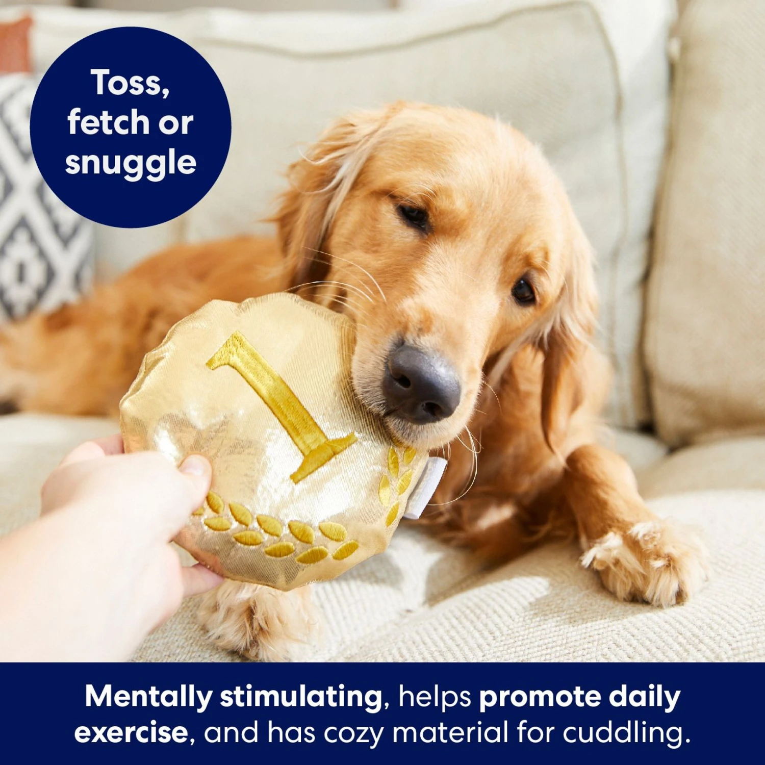 Frisco Gold Medal Round Plush Squeaky Dog Toy - Image 4