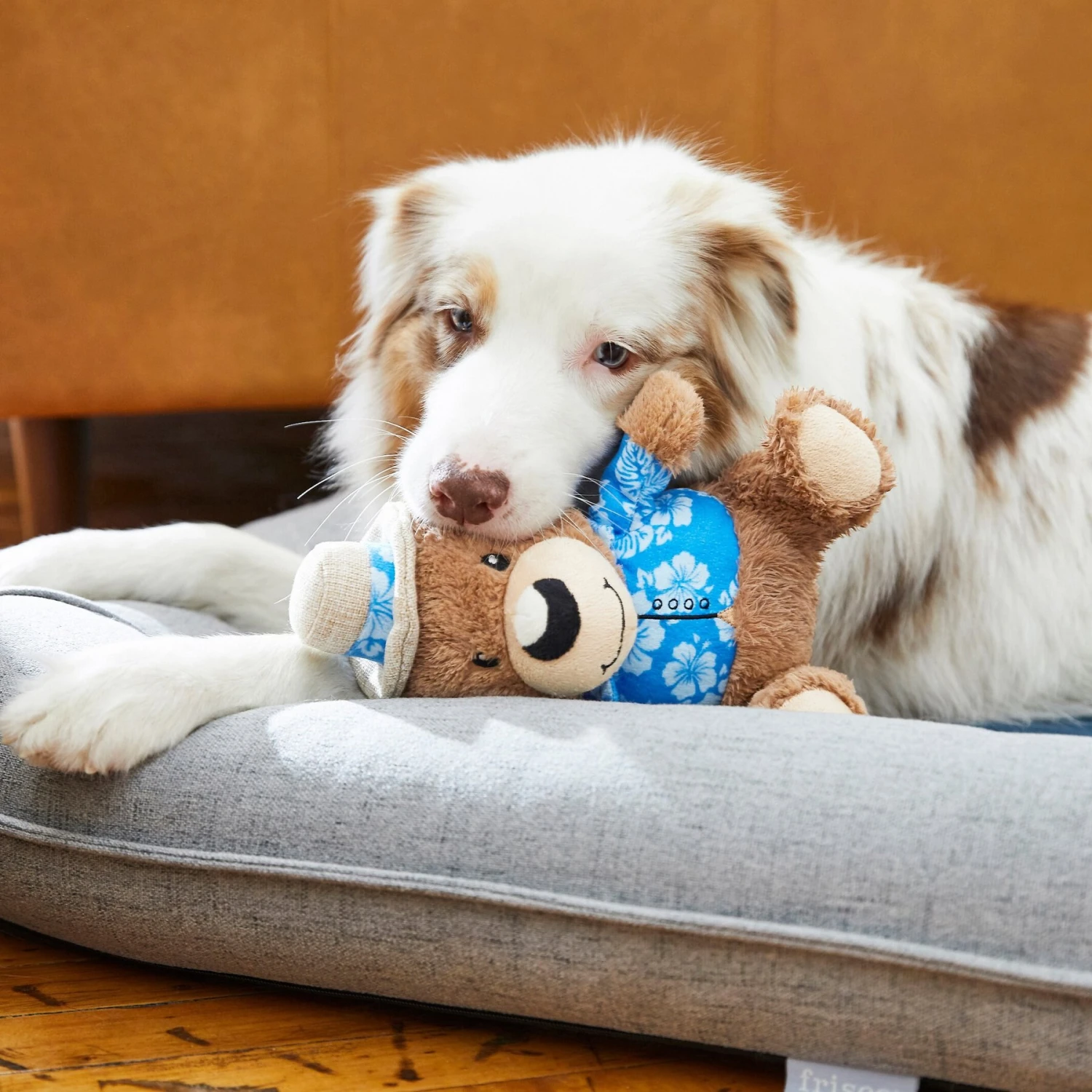 Frisco Summer Fun Plush Bear Squeaky Dog Toy - Image 2