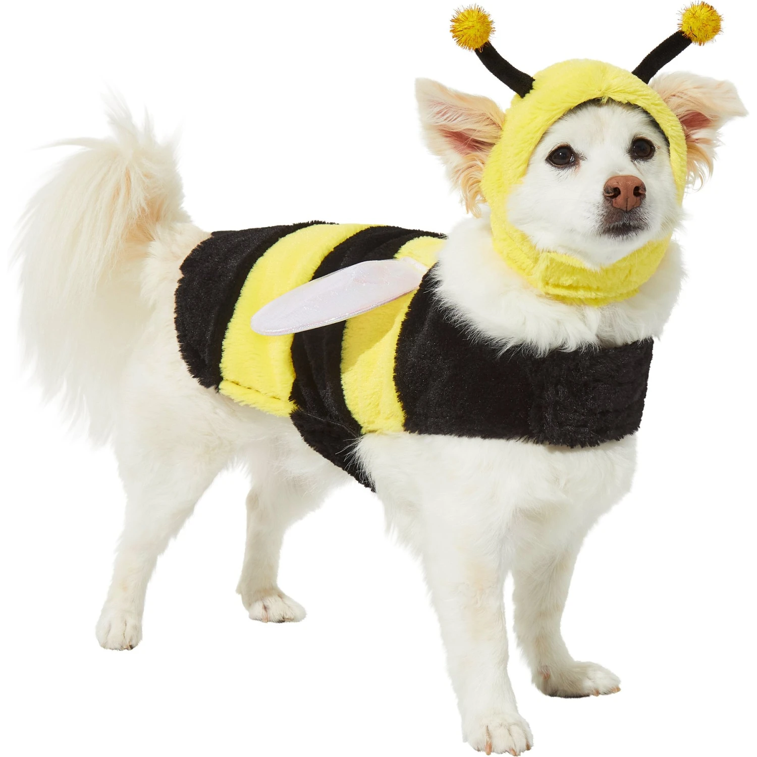Frisco Bumble Bee Dog & Cat Costume