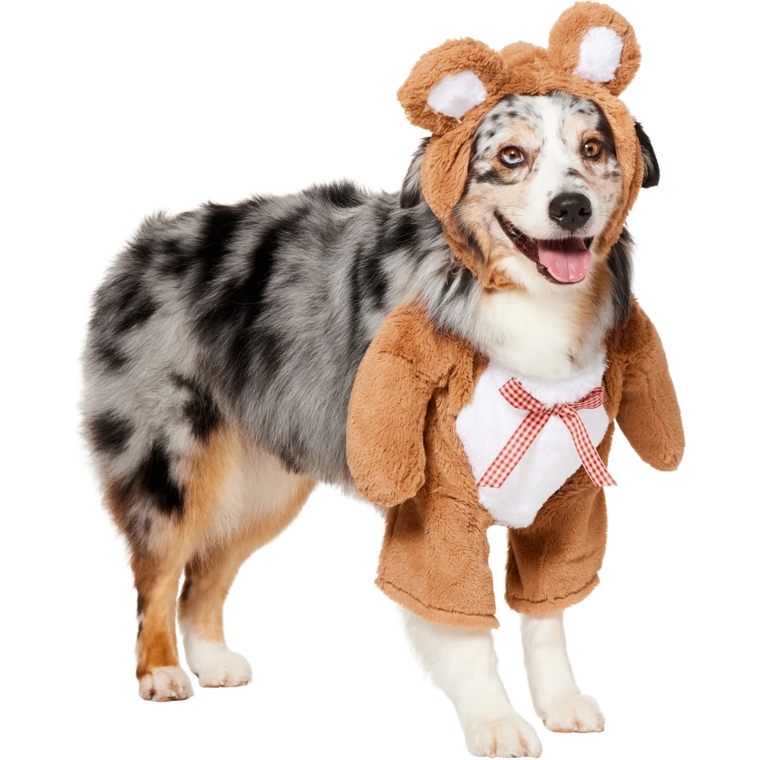 Frisco Front Walking Teddy Bear Dog & Cat Costume - Image 4