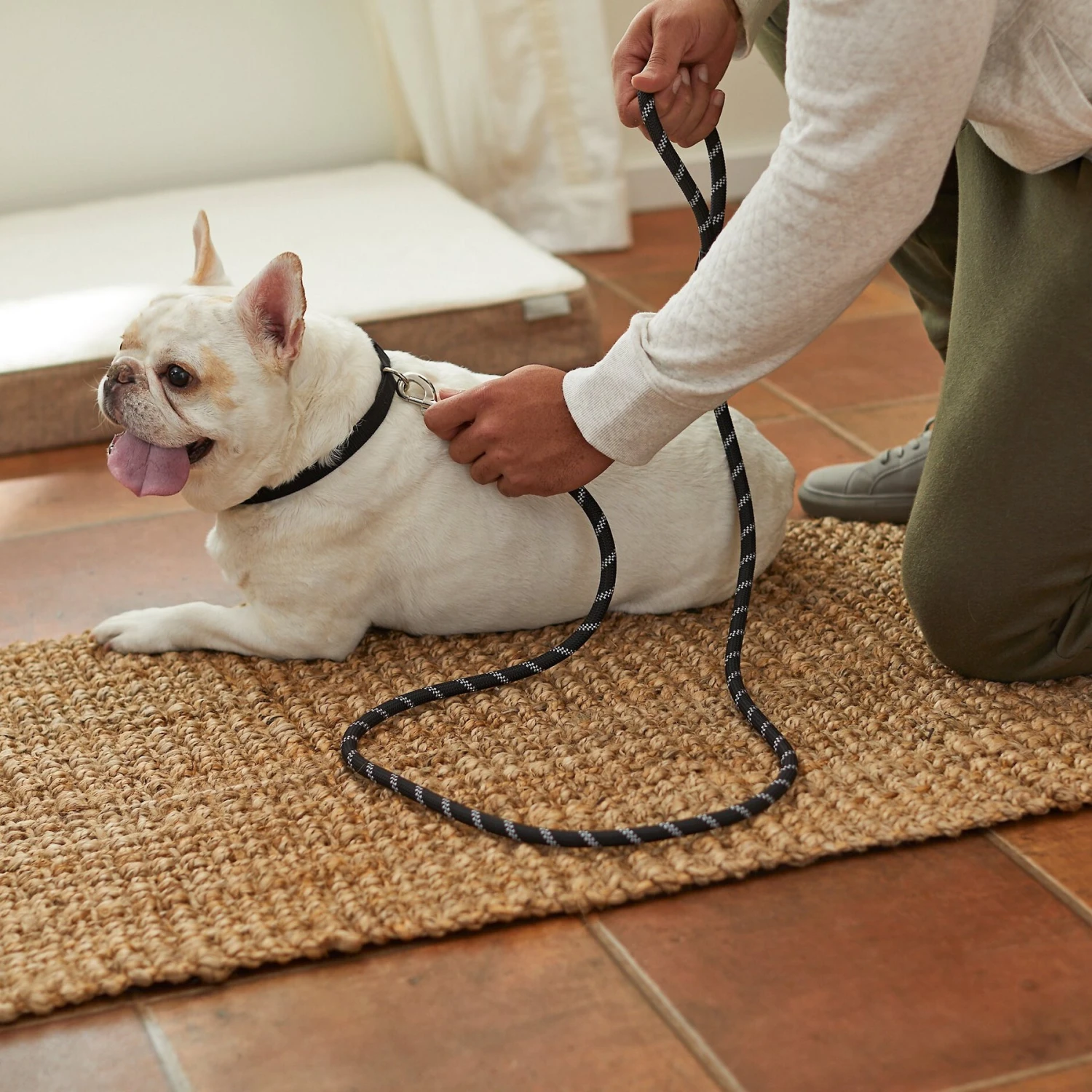 Frisco Reflective Rope Dog Leash - Image 5