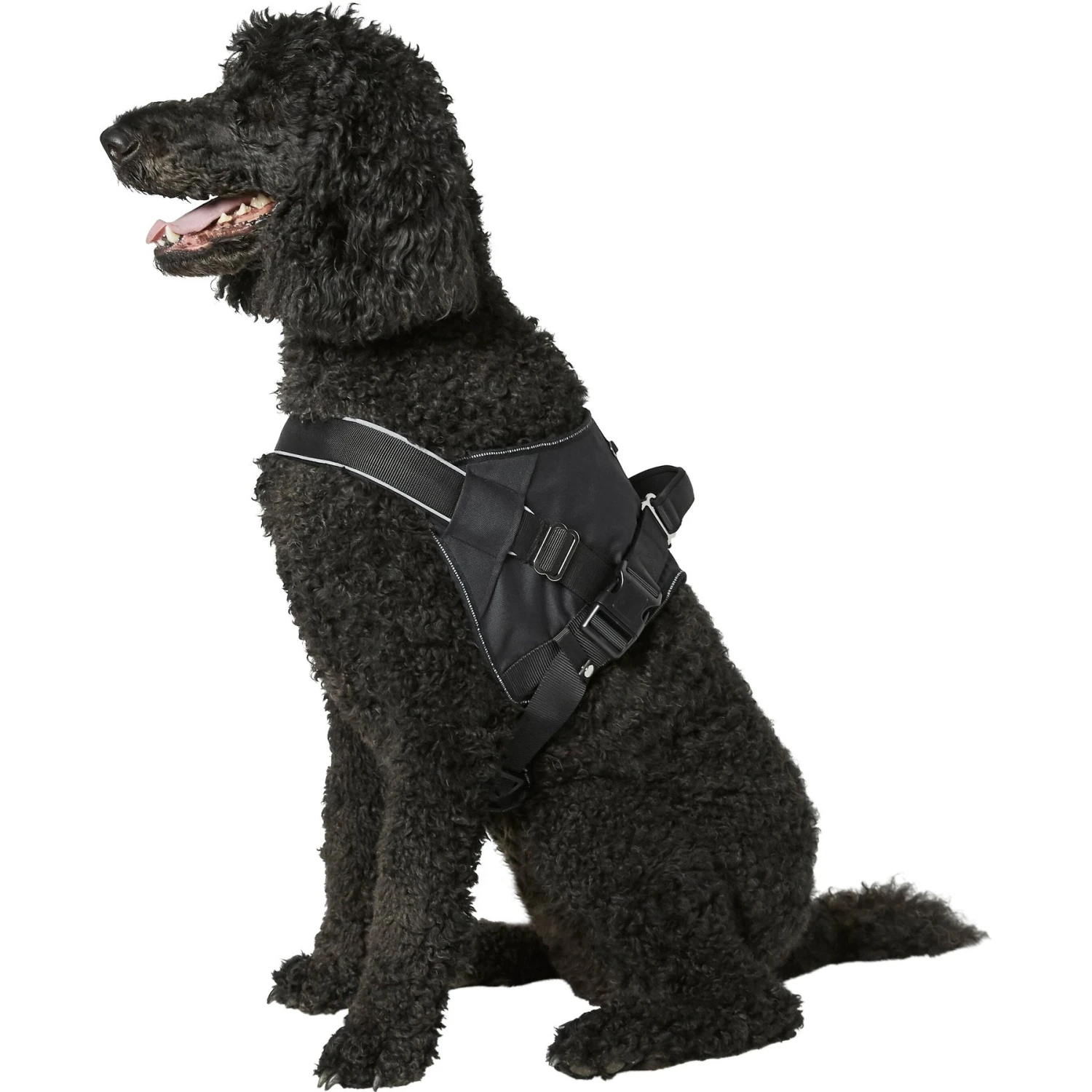 Frisco Big Dog Harness - Image 5