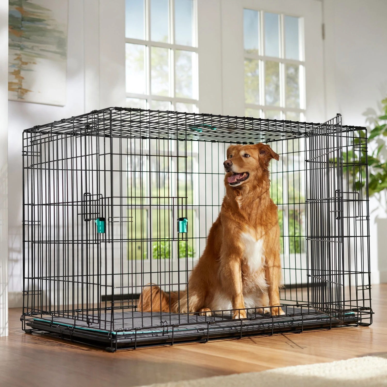 Frisco Heavy Duty Enhanced Lock Double Door Fold & Carry Wire Dog Crate & Mat Kit