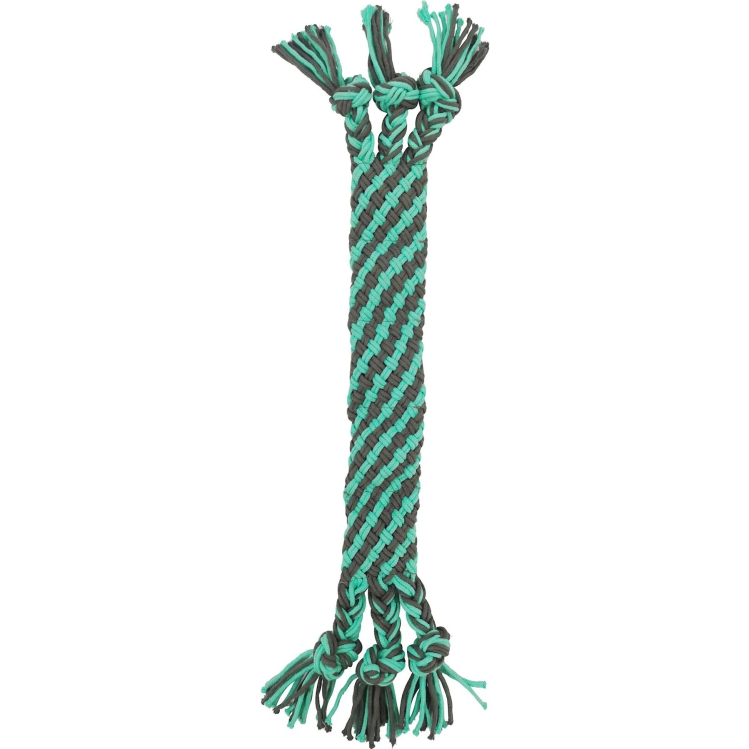 Frisco Flat Teal & Gray Braided Rope Squeaky Fetch Dog Toy