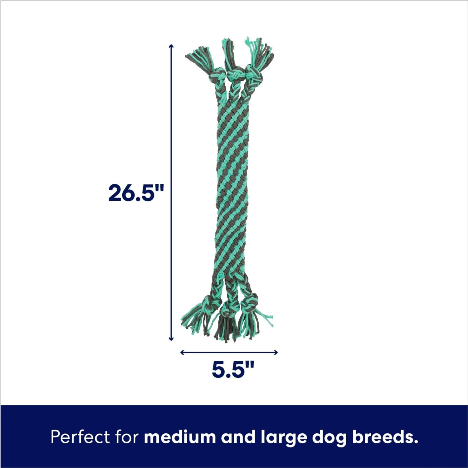 Frisco Flat Teal & Gray Braided Rope Squeaky Fetch Dog Toy - Image 2