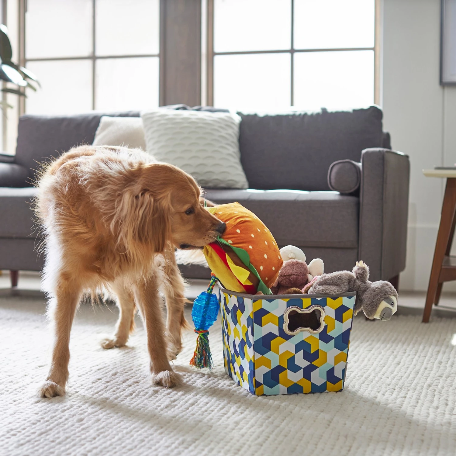 Frisco Rectangle Collapsible Pet Toy Storage Bin, Yellow Geometric - Image 4