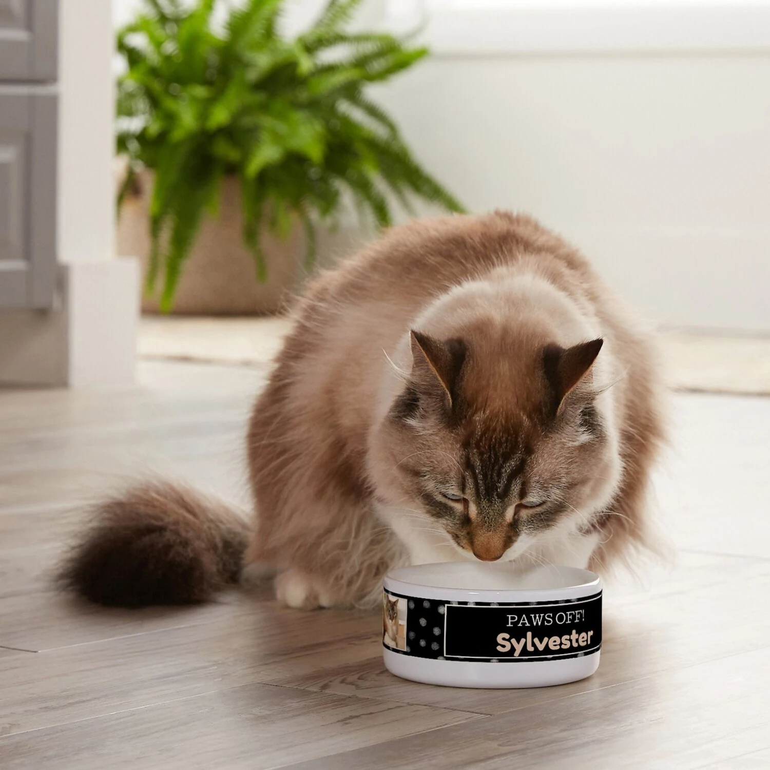 Frisco "Paws Off" Ceramic Personalized Dog & Cat Bowl - Image 4