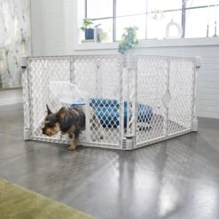 Frisco 6-Panel Plastic Exercise Dog Playpen, Light Gray