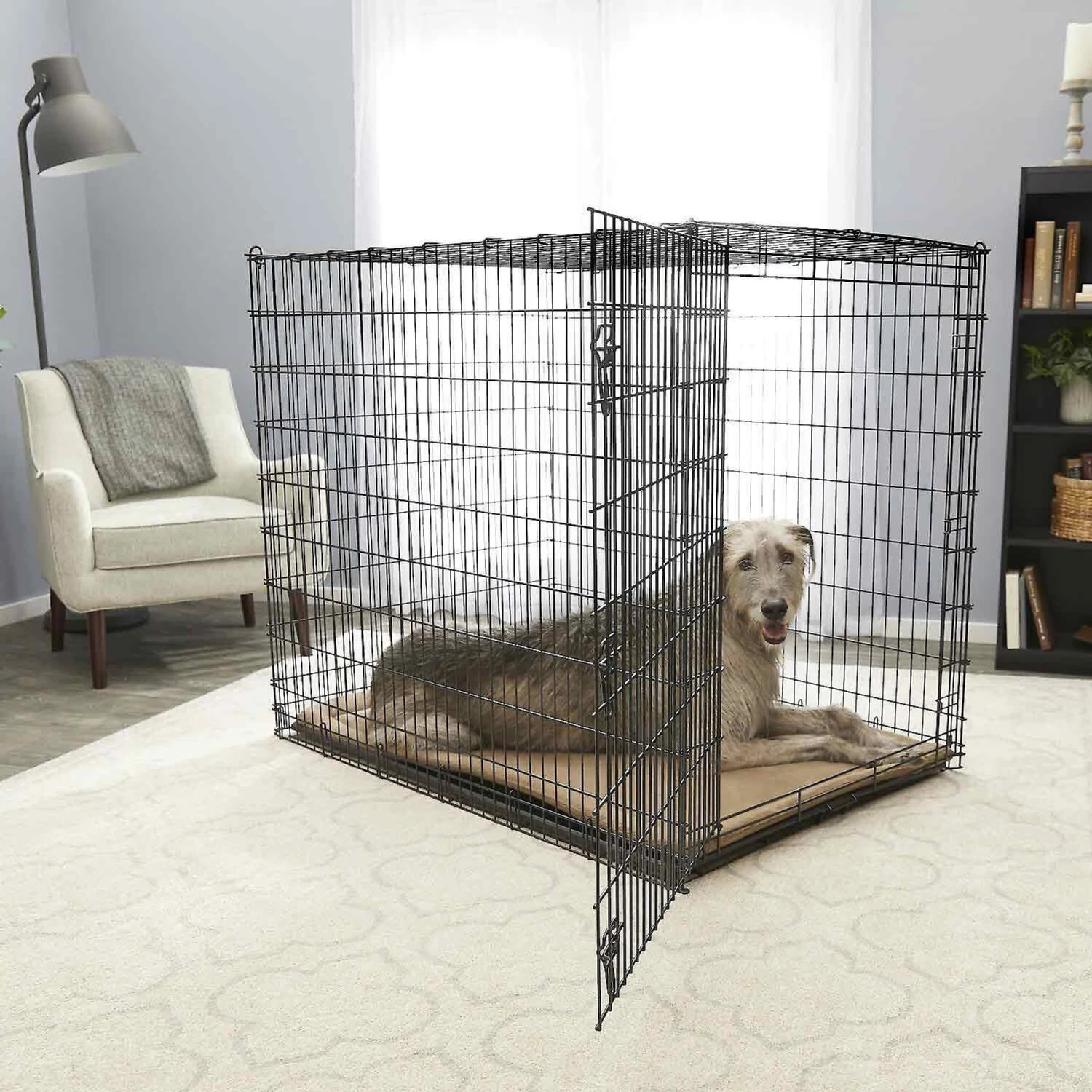 Frisco Heavy Duty Single Door Wire Dog Crate & Frisco Quilted Dog Crate Mat - Image 3