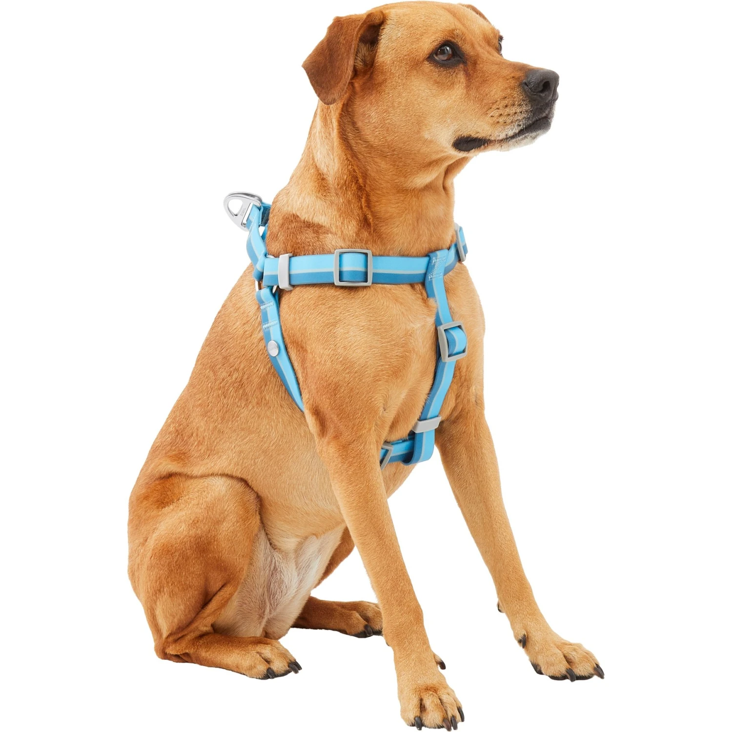 Frisco Outdoor Two Tone Waterproof Stinkproof PVC Dog Harness - Image 3