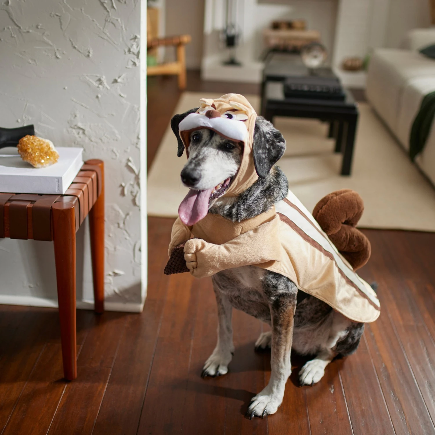 Frisco Chipmunk Dog & Cat Costume - Image 7