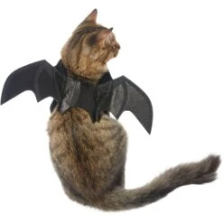 Frisco Bat Wings Dog & Cat Costume