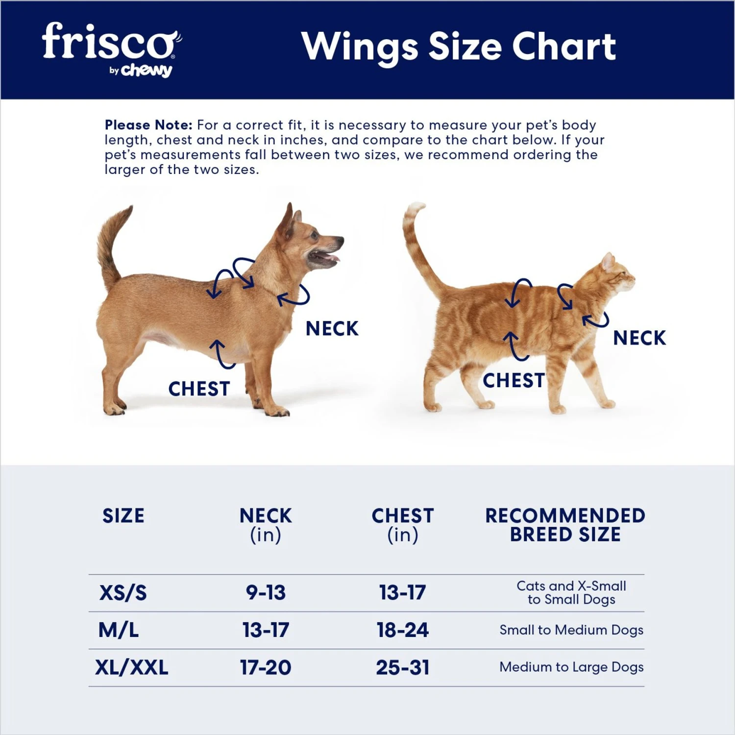 Frisco Bat Wings Dog & Cat Costume - Image 2