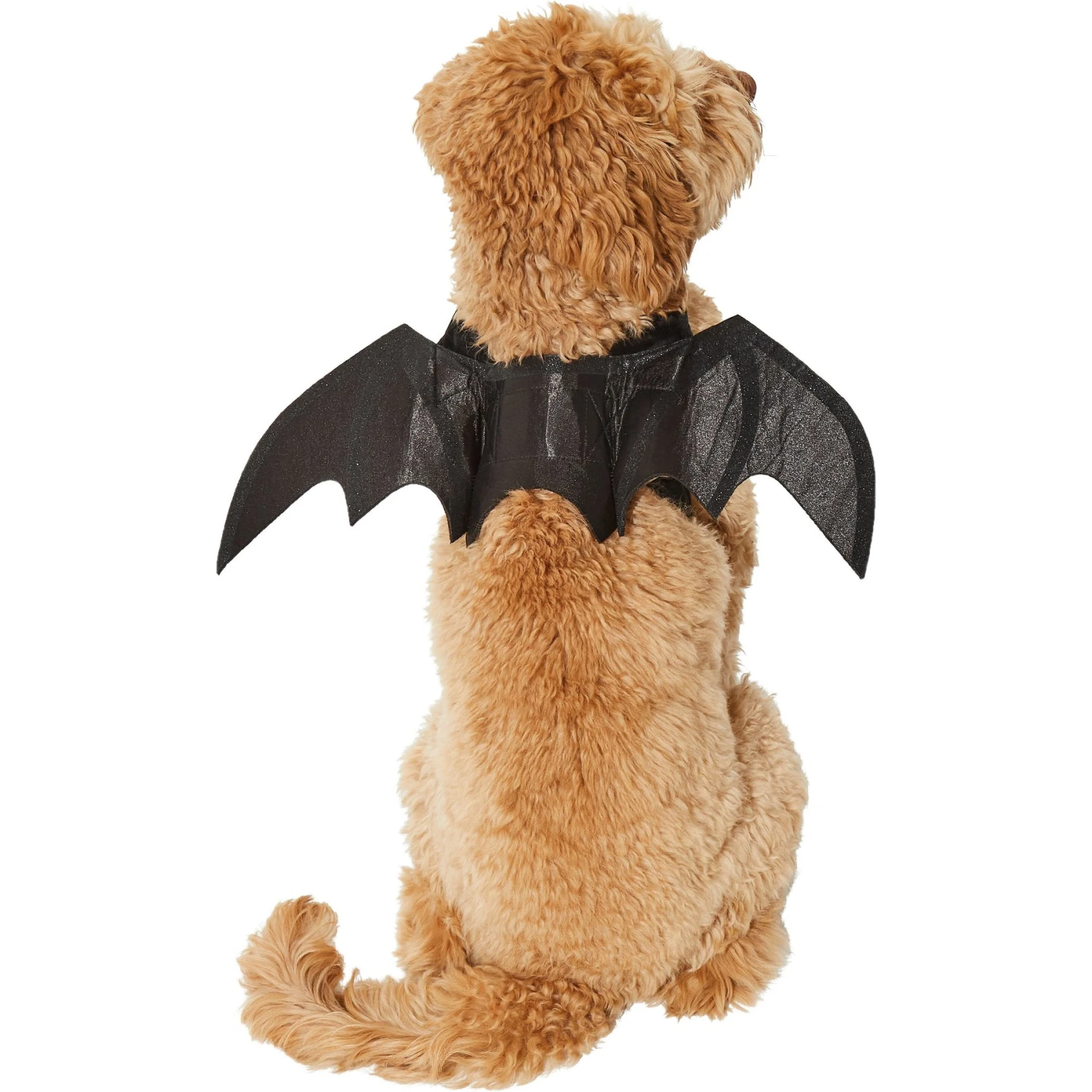 Frisco Bat Wings Dog & Cat Costume - Image 3