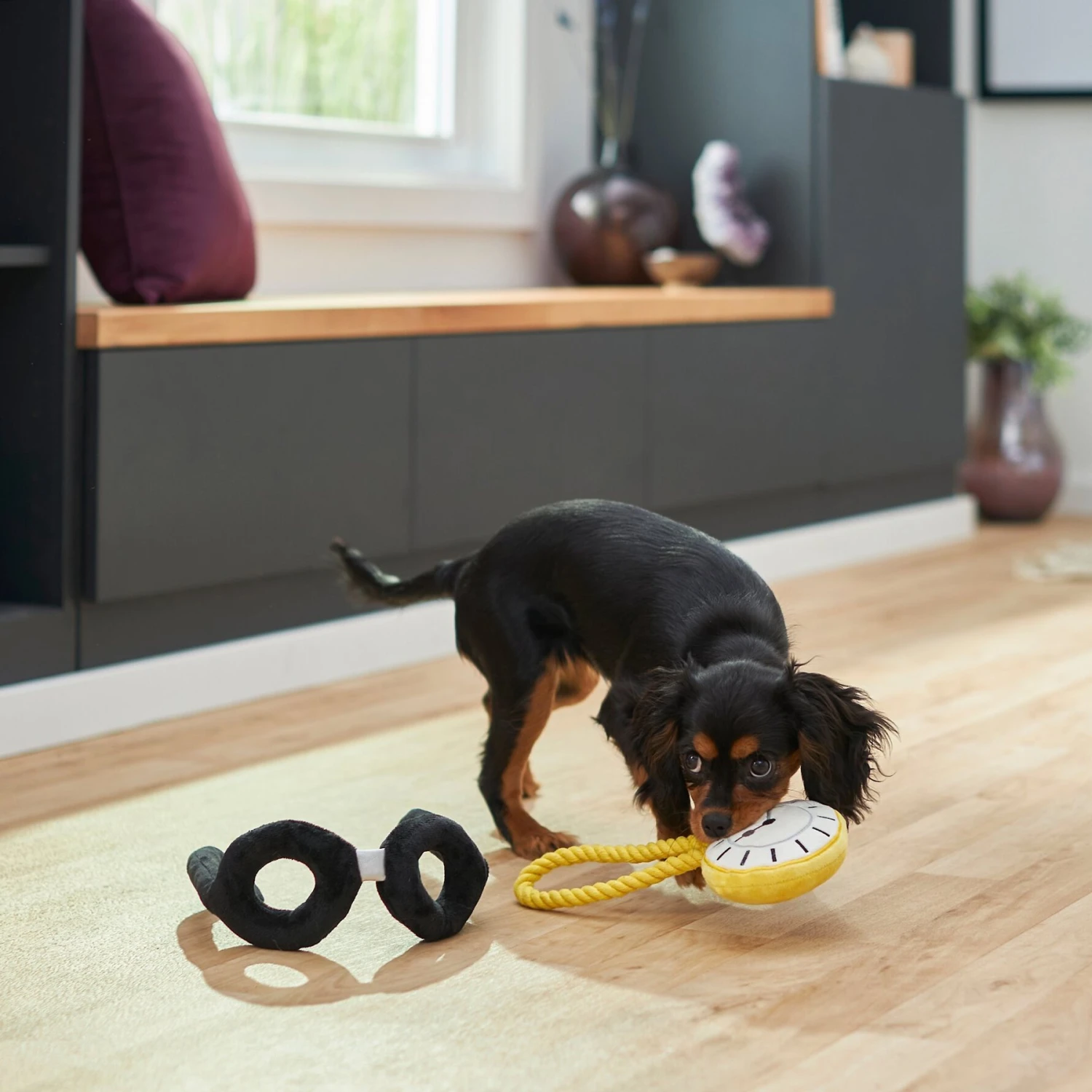 Frisco Magic Pocket Watch & Glasses Plush Squeaky Dog Toy, 2 Count - Image 3