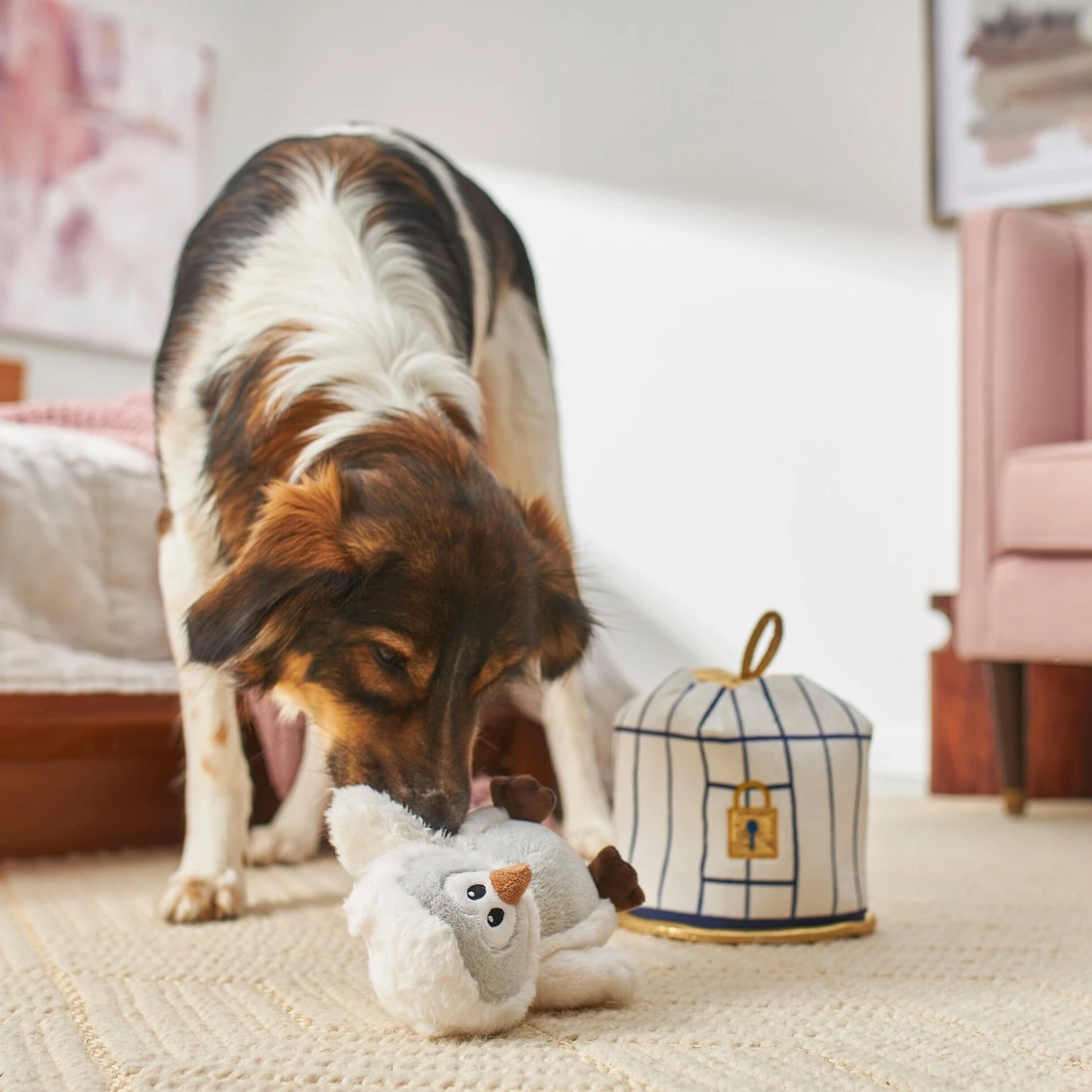 Frisco Magic Owl & Cage 2-in-1 Plush Squeaky Dog Toy - Image 4