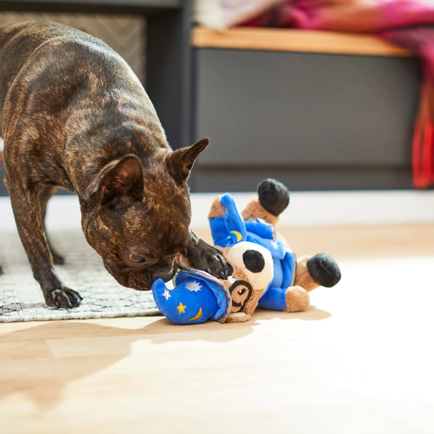 Frisco Magic Wizard Bear Plush Squeaky Dog Toy - Image 3