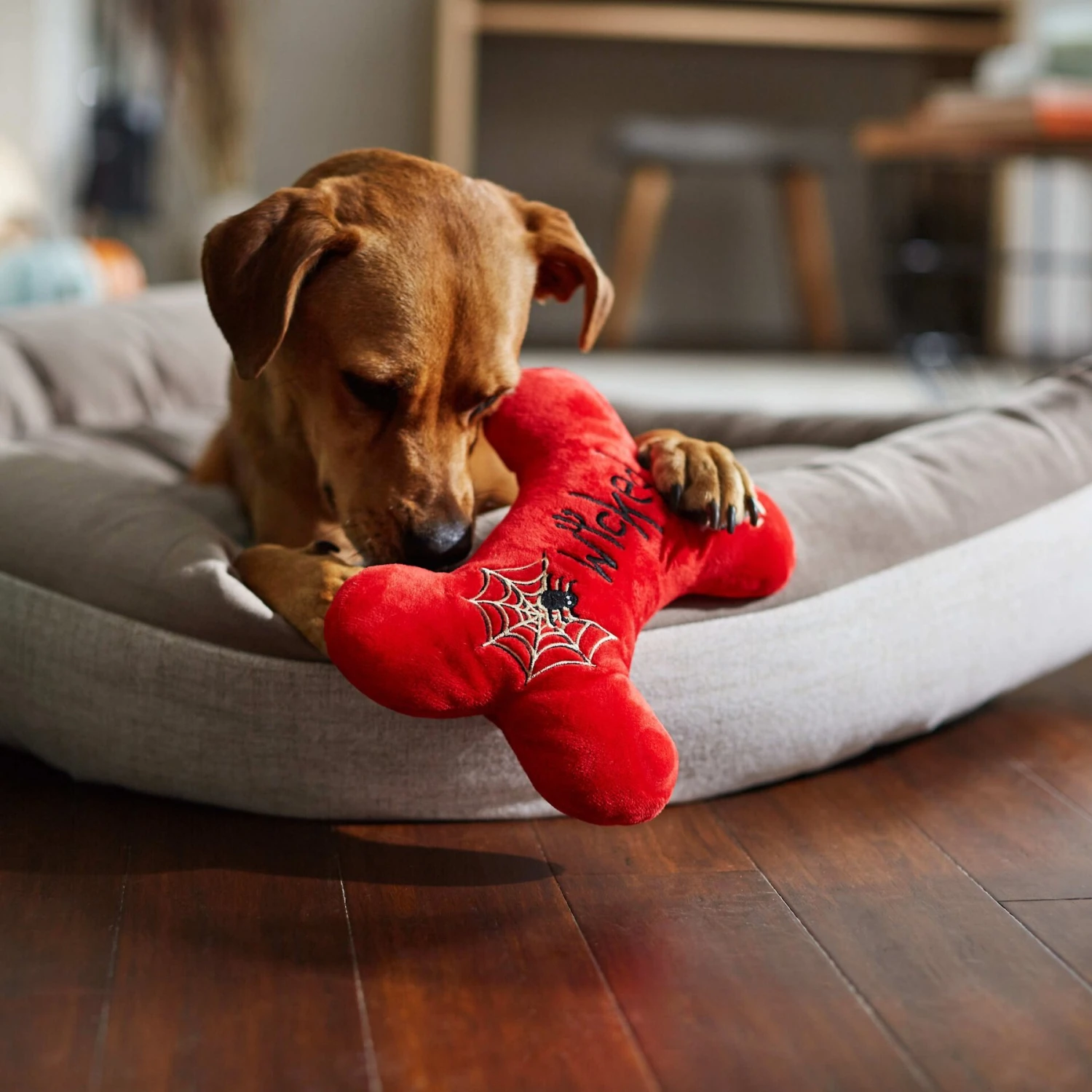Frisco Halloween Wicked Cute Bone Reversible Plush Squeaky Dog Toy - Image 4