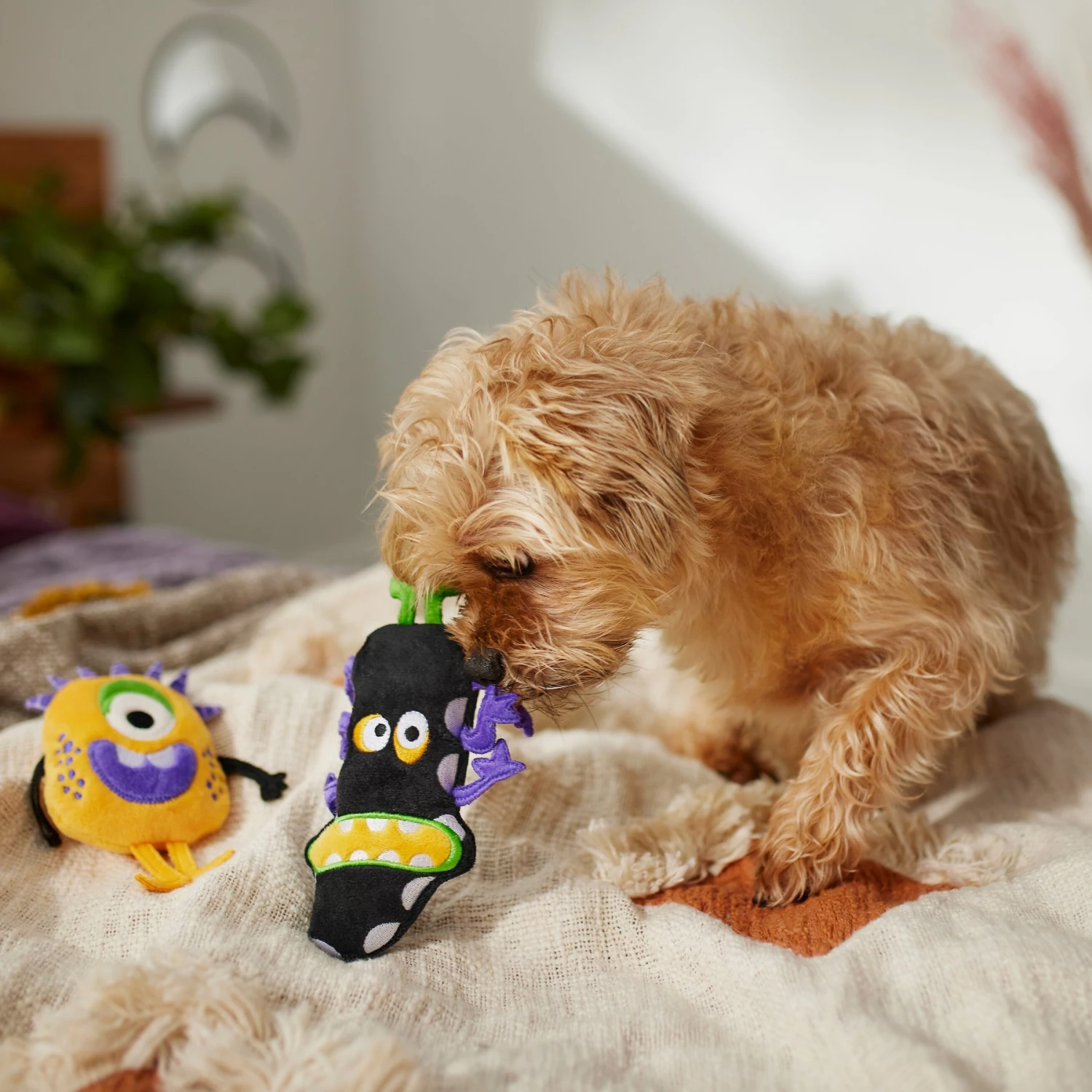 Frisco Halloween Friendly Monsters Plush Squeaky Dog Toy - Image 3