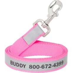 Frisco Solid Polyester Personalized Reflective Dog Leash