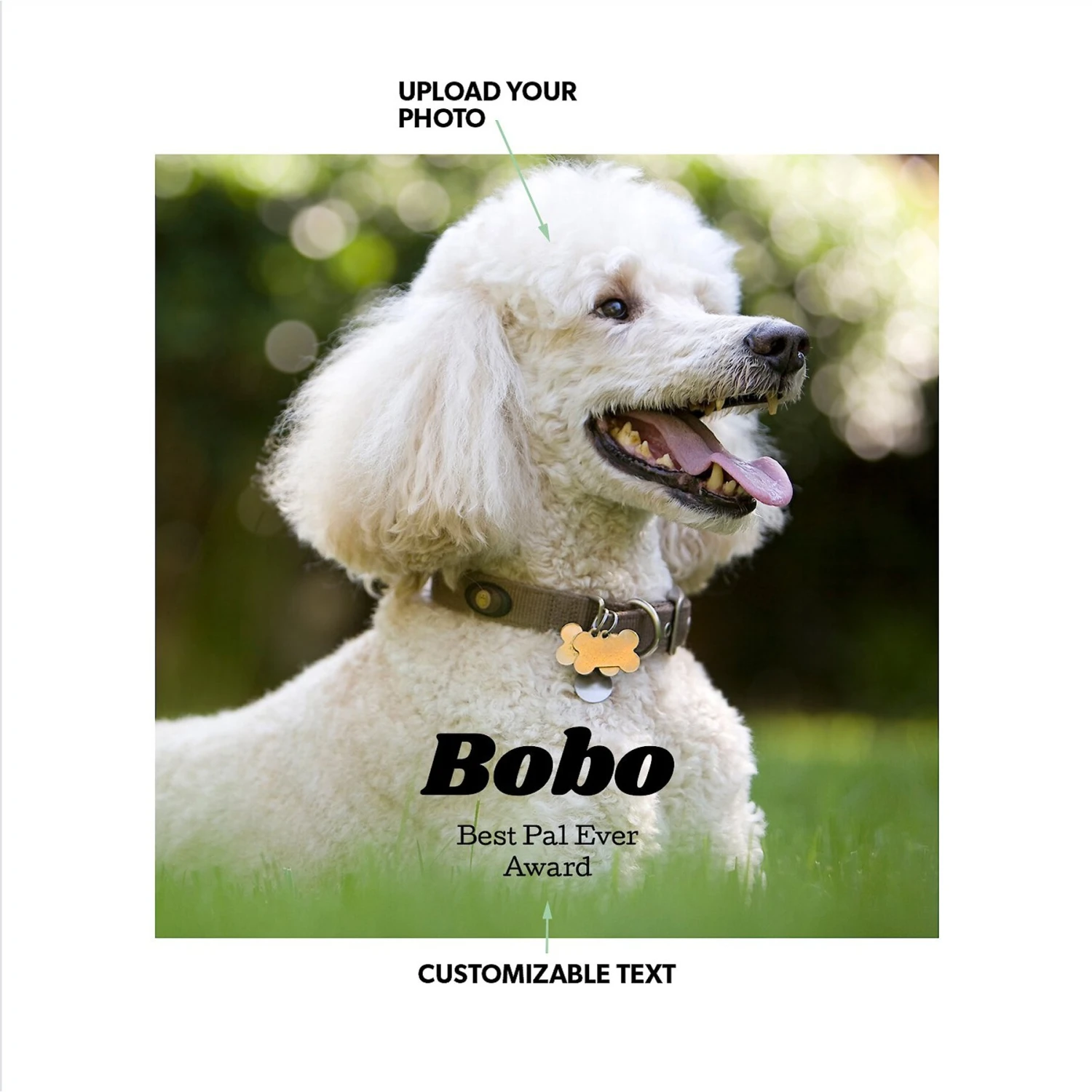 Frisco Personalized Basic Ceramic Photo Tile With Stand - Image 2