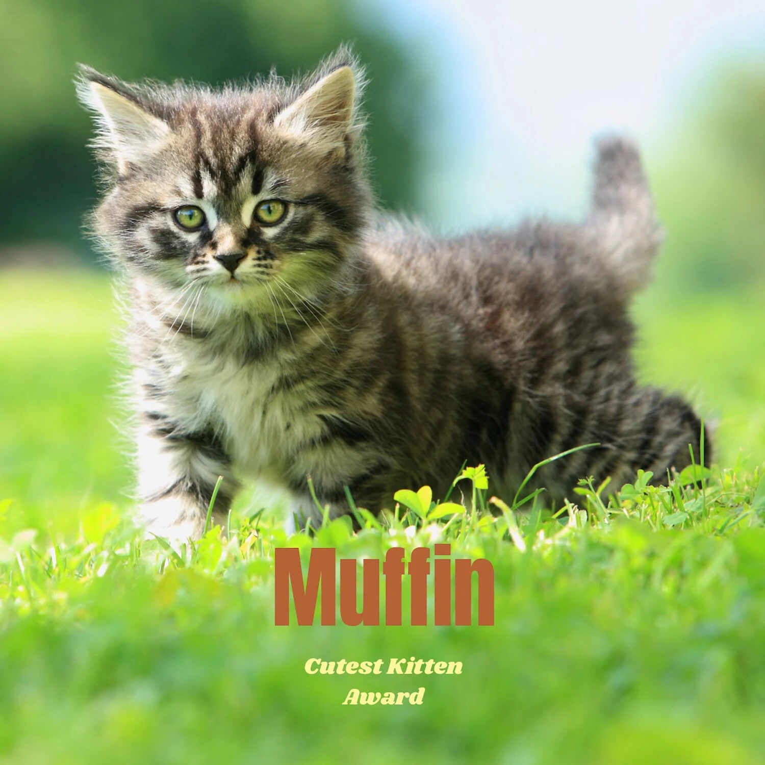 Frisco Personalized Basic Ceramic Photo Tile With Stand - Image 3