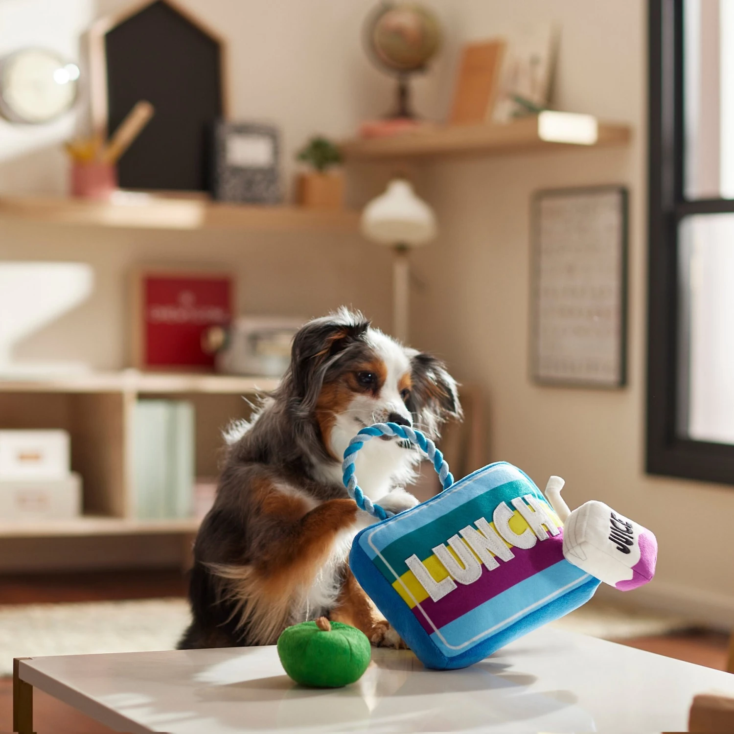 Frisco Back To School Lunchbox With Juice & Apple Plush With Rope Squeaky Dog Toy - Image 3