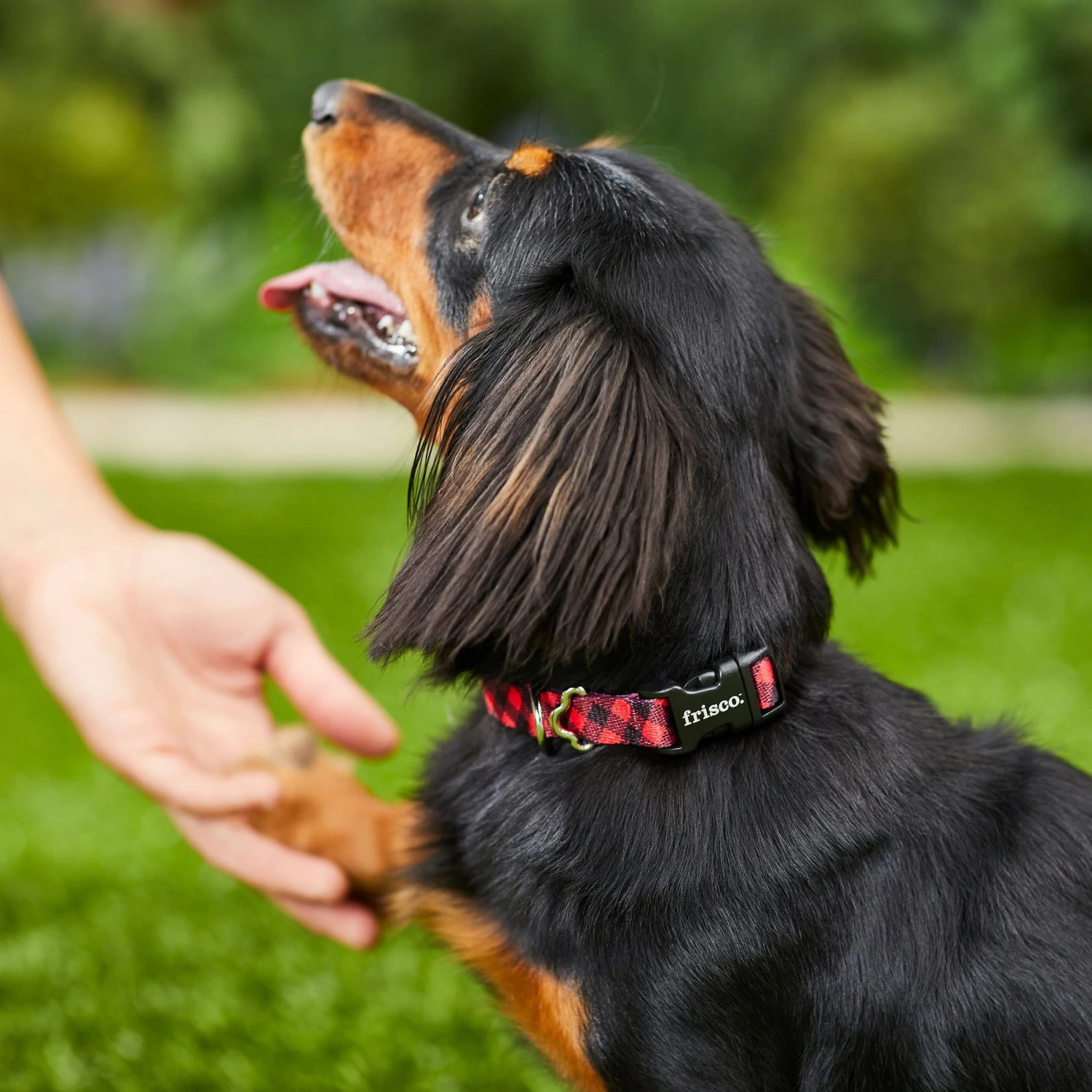 Frisco Buffalo Check Polyester Personalized Dog Collar - Image 5