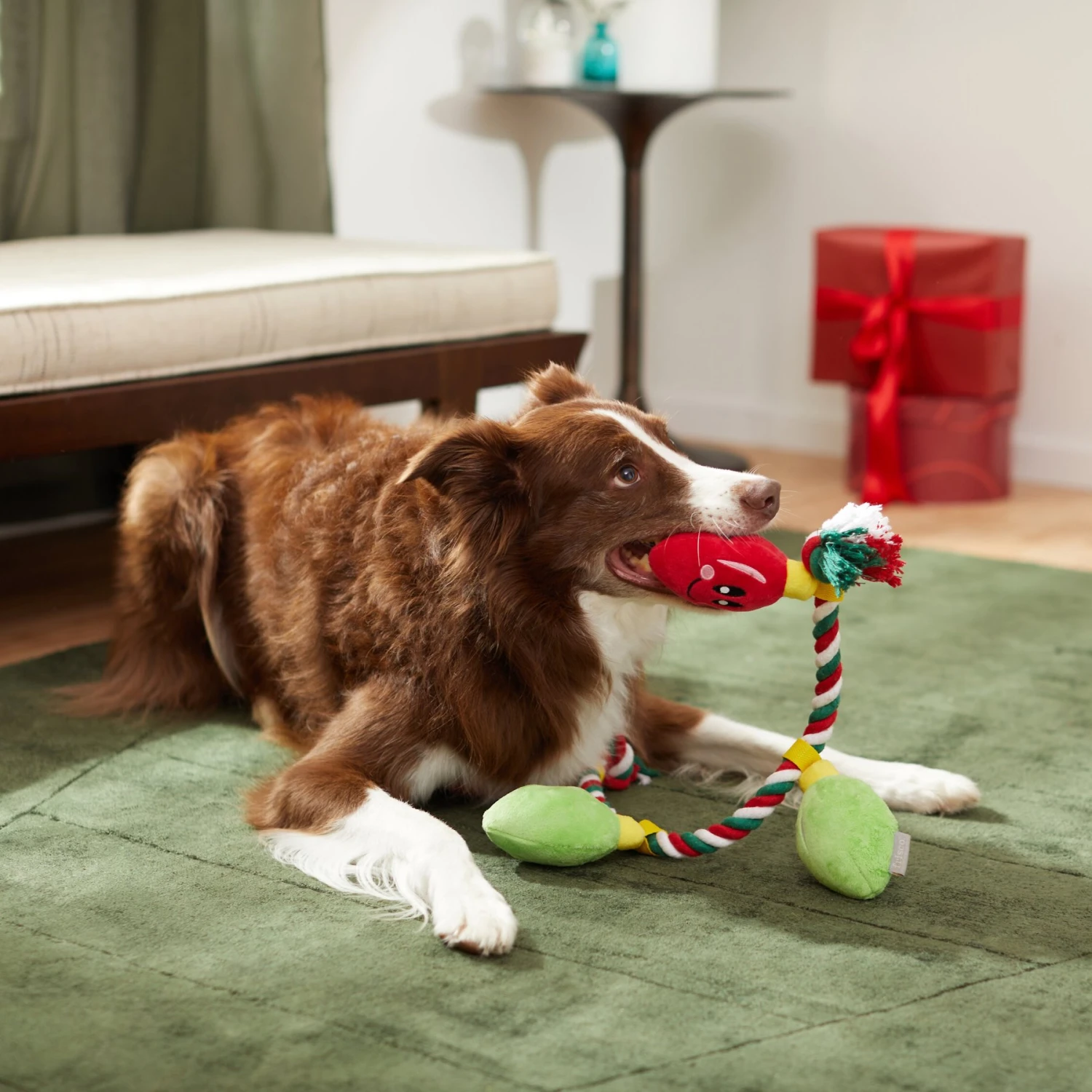 Frisco Holiday Lights Plush With Rope Squeaky Dog Toy - Image 3