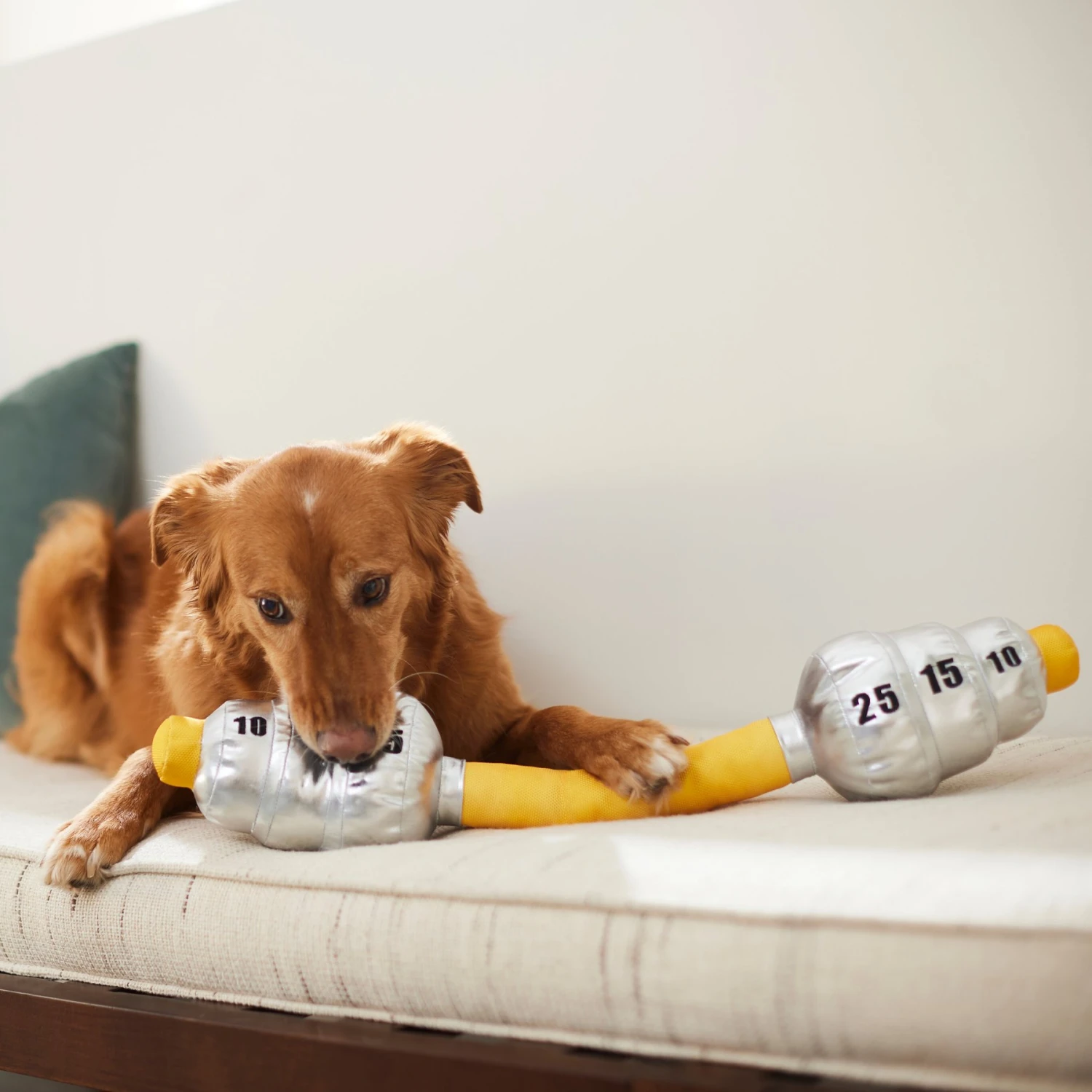 Frisco Weight Bar Wagazoo Plush Squeaky Dog Toy - Image 3