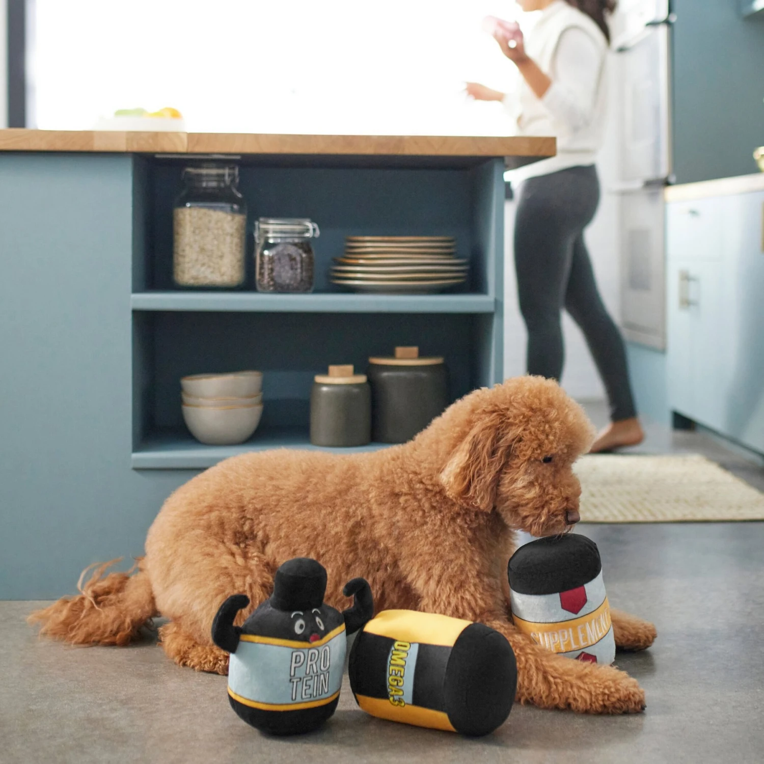 Frisco New Year, New Me Protein Powder Plush Squeaky Dog Toy - Image 3