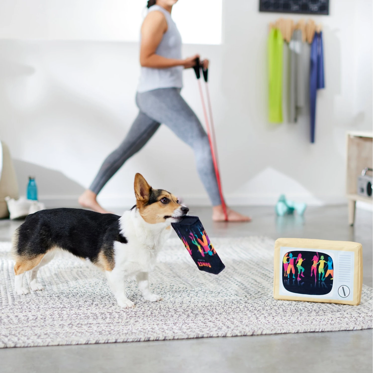 Frisco TV & VHS Tape Plush Squeaky Dog Toy, 2 Count - Image 3