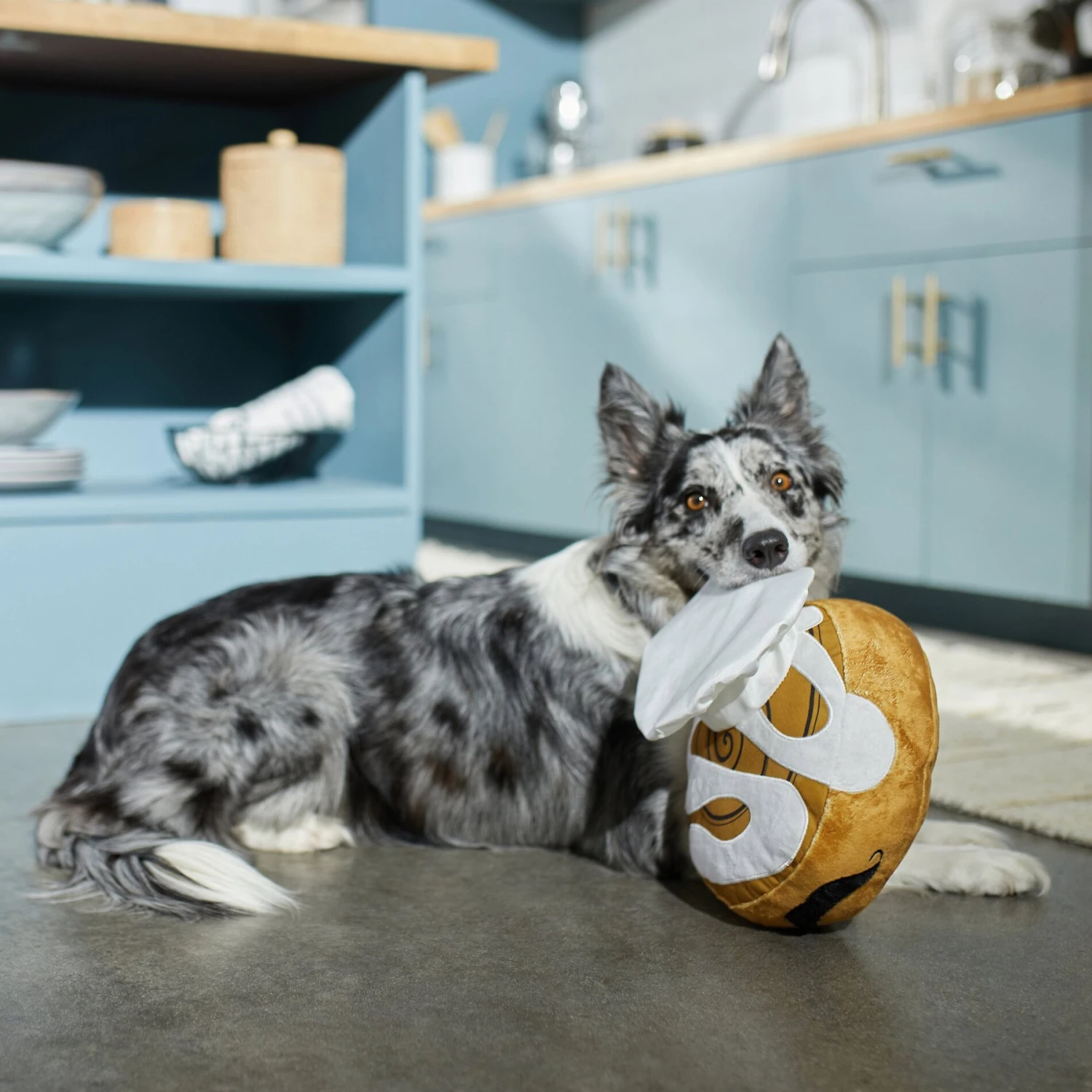 Frisco Brunch Cinnamon Roll Jumbo Plush Squeaky Dog Toy - Image 3