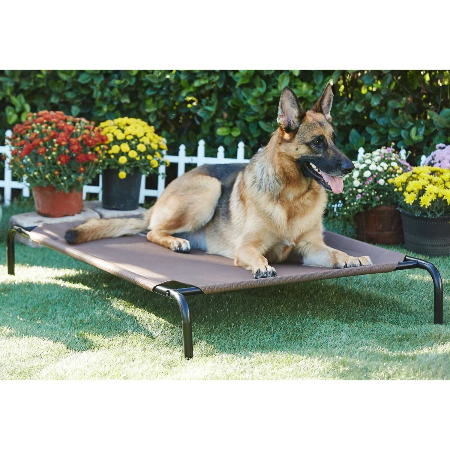 Frisco Replacement Cover For Steel-Framed Elevated Dog Bed & Frisco Steel-Framed Elevated Dog Bed - Image 6