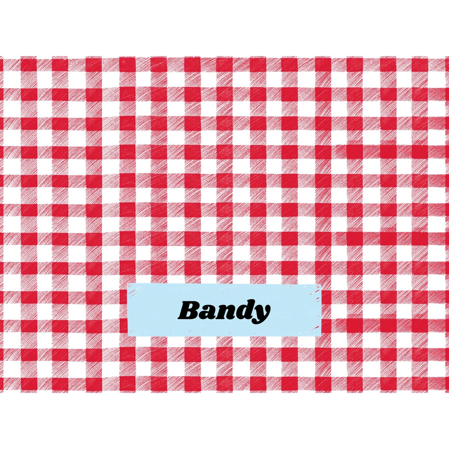 Frisco Personalized Gingham Plaid Sherpa Cat & Dog Blanket, 30" X 40" - Image 5