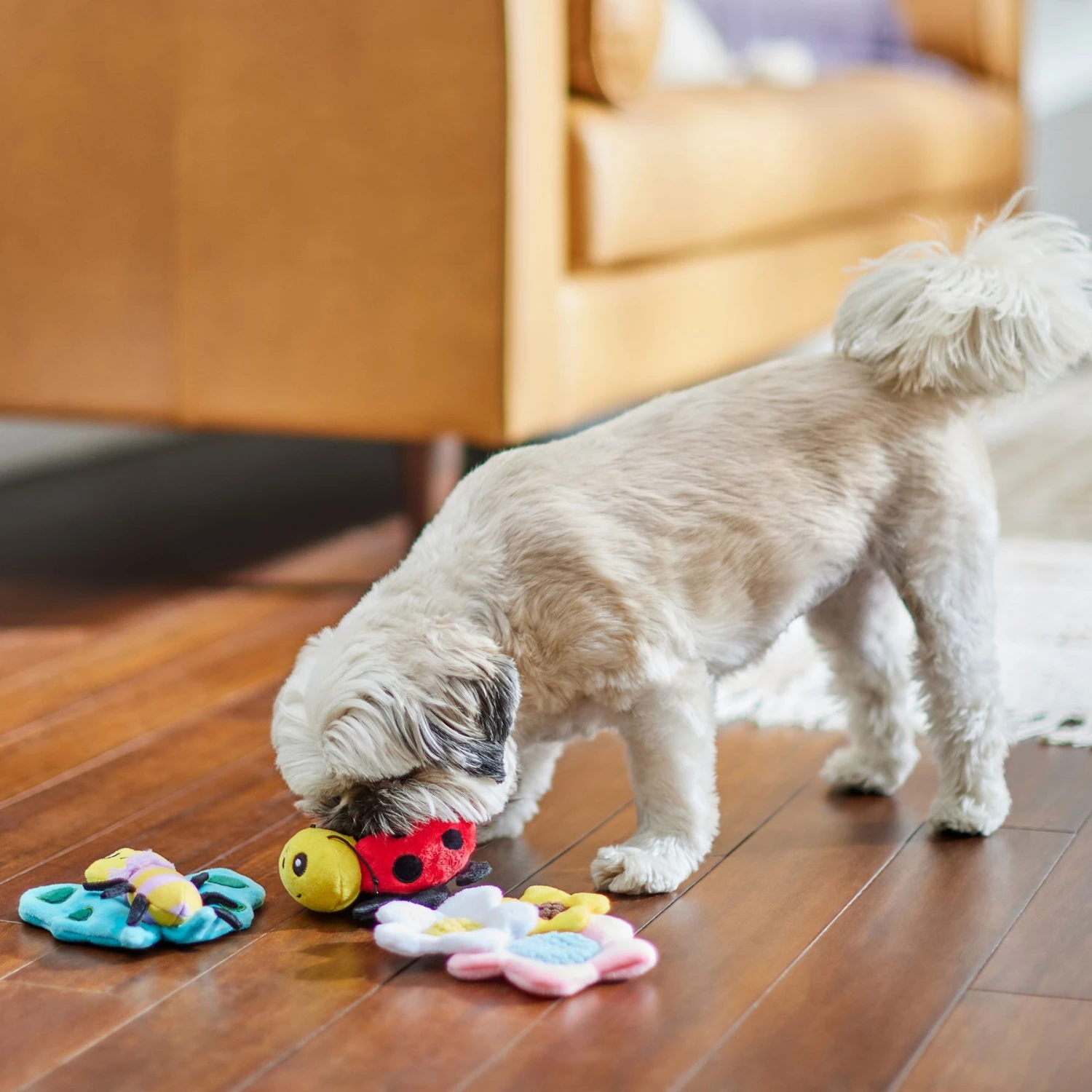 Frisco Spring Pack Plush Squeaky Dog Toy - Image 4