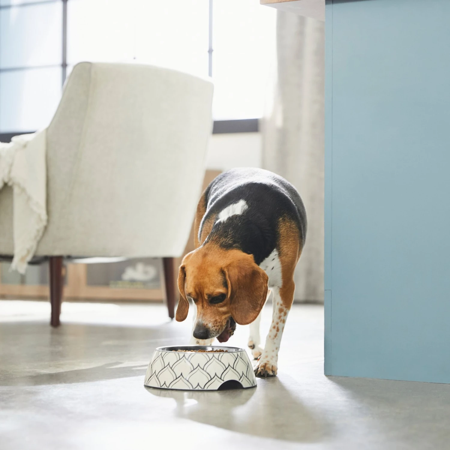 Frisco Moroccan Design Stainless Steel Dog & Cat Bowl - Image 3