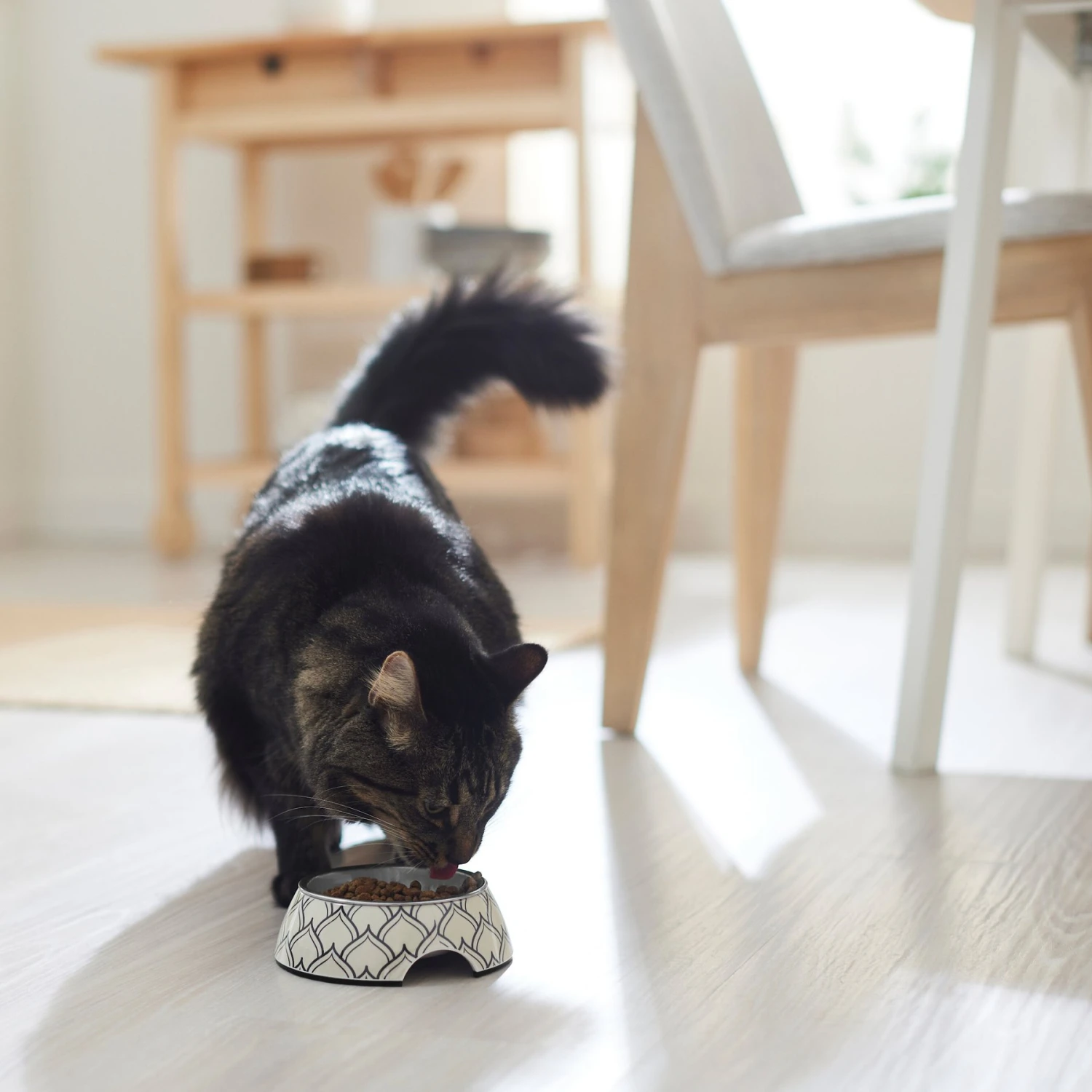 Frisco Moroccan Design Stainless Steel Dog & Cat Bowl - Image 4