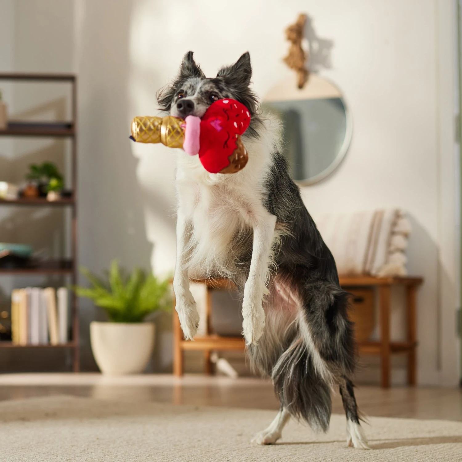 Frisco Valentine Ice Cream Plush Squeaky Dog Toy - Image 3