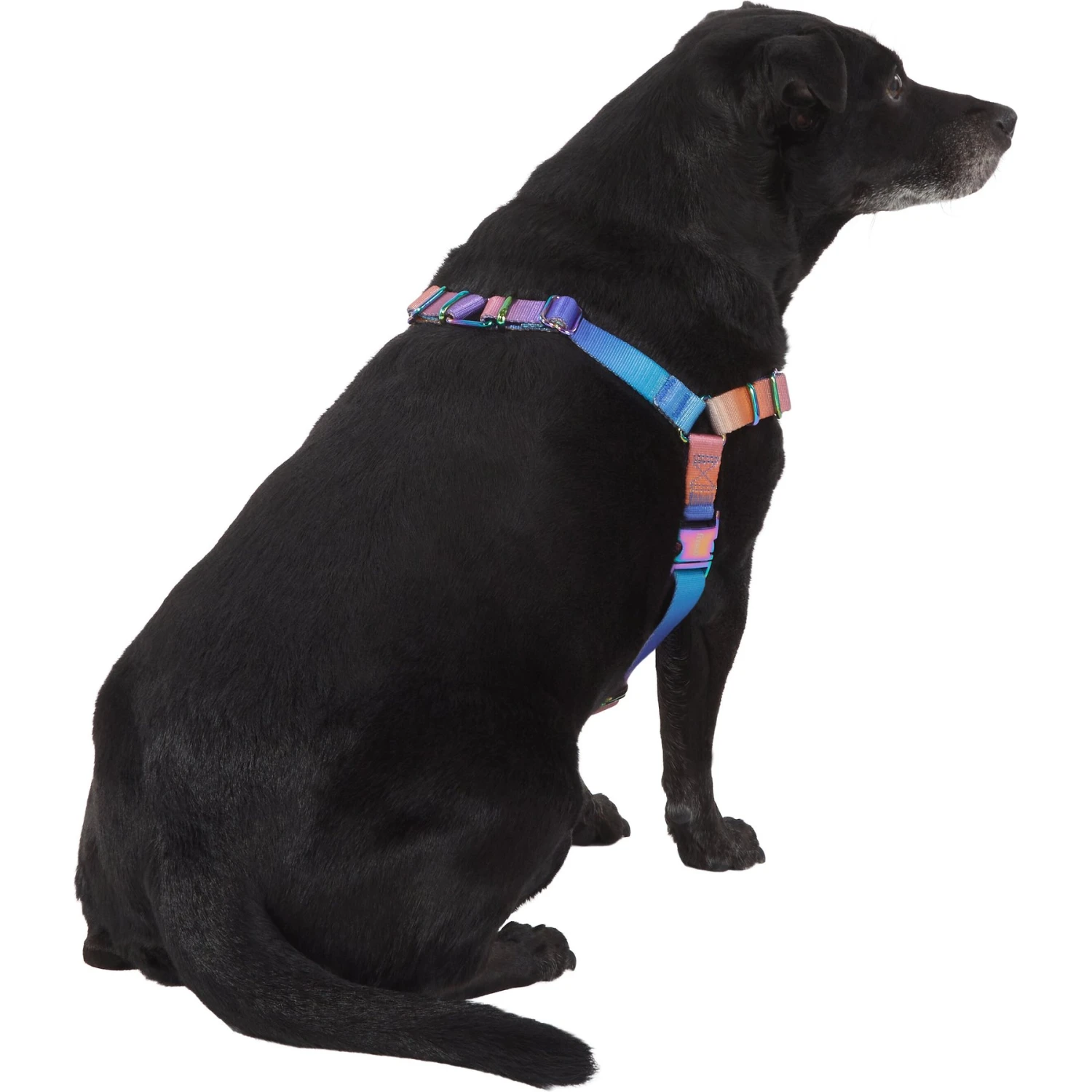 Frisco Purple Ombre Style Dog Harness - Image 4