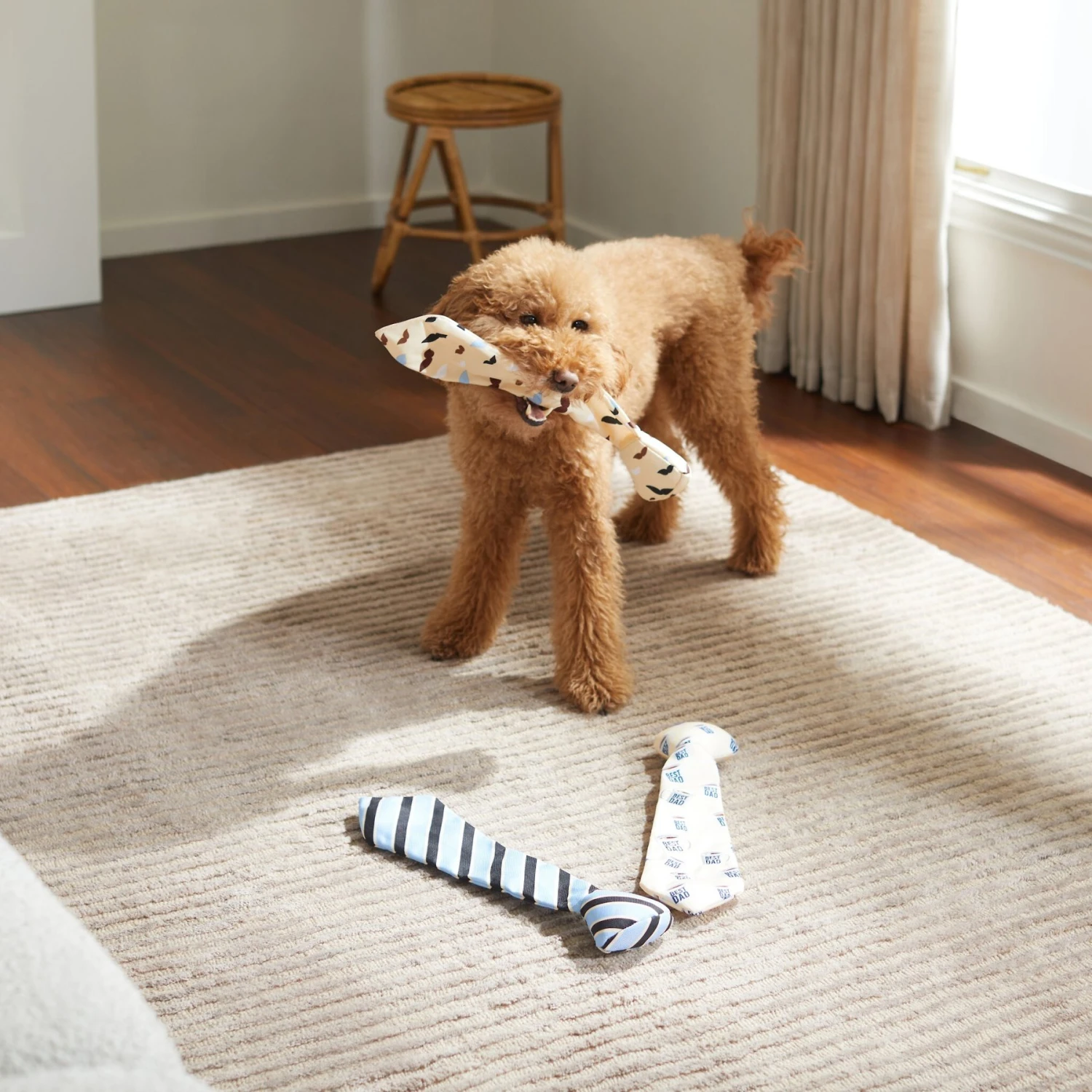 Frisco Ties Plush Dog Toy, 3 Count - Image 3